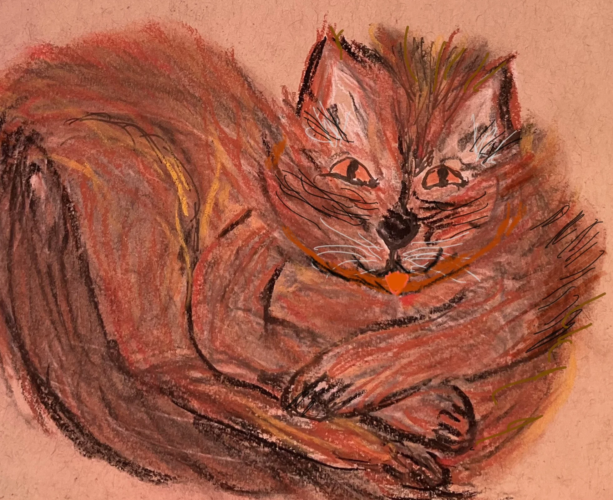 Fat Cat watercolor and ink 
see mugs