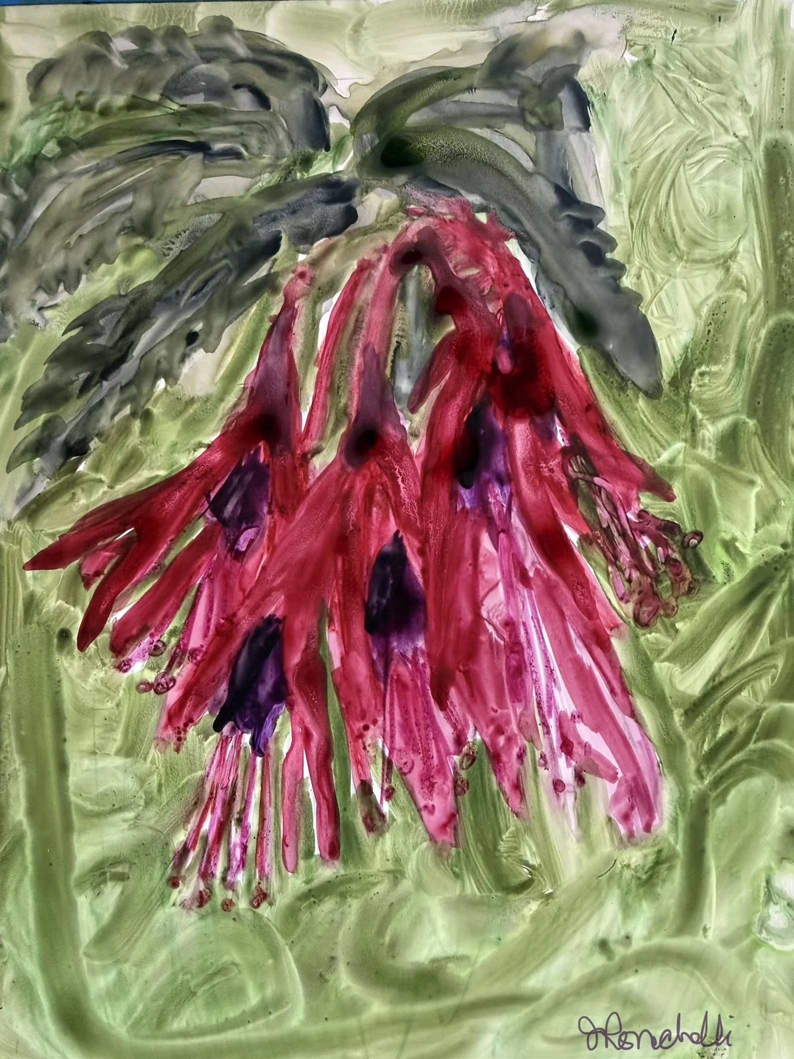 Fuchsias on yupo