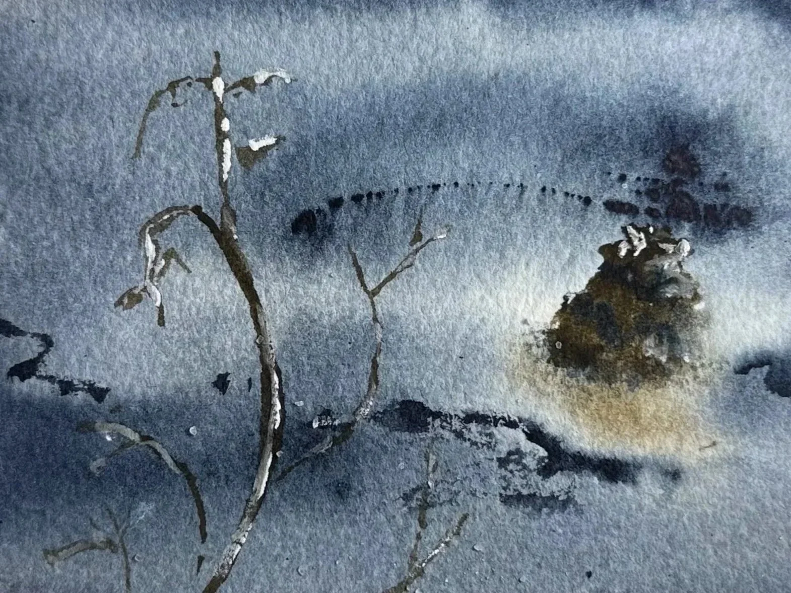 Frosted plant stems and leaves on a window with condensation and blurred background.
