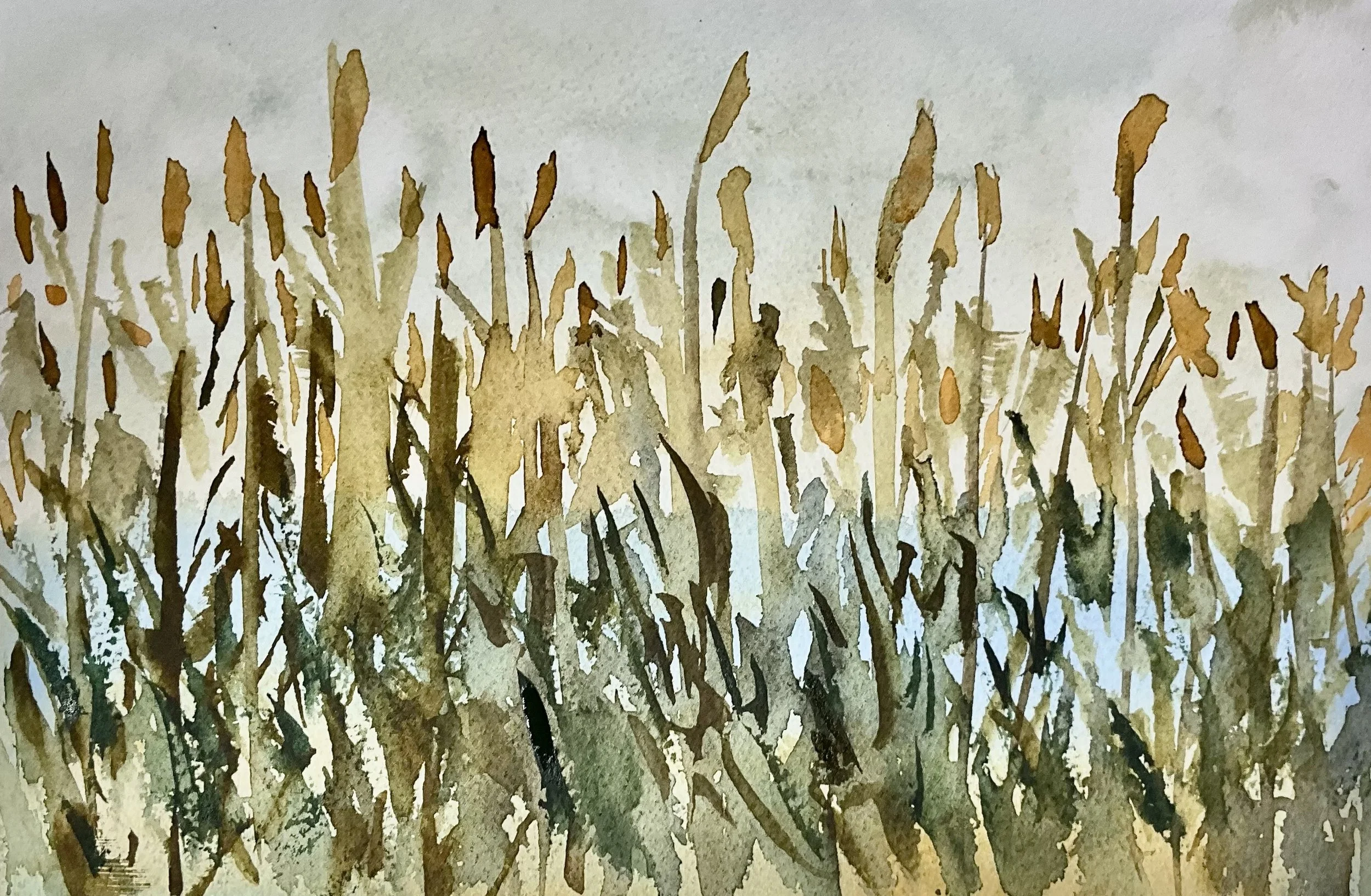 Cattails, Deschutes River ; watercolor