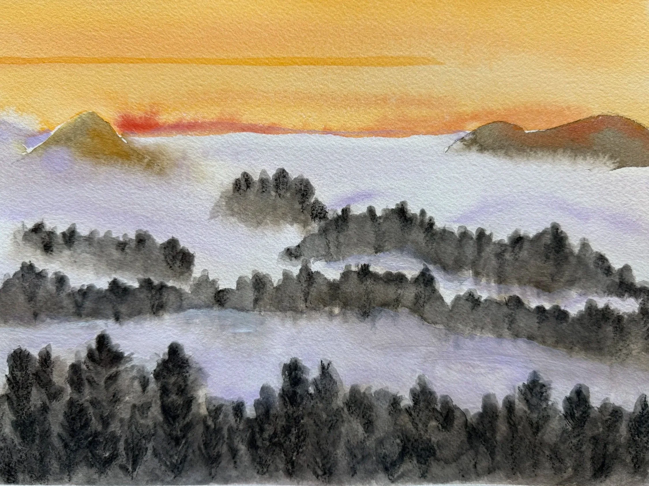 Mill Valley Fog