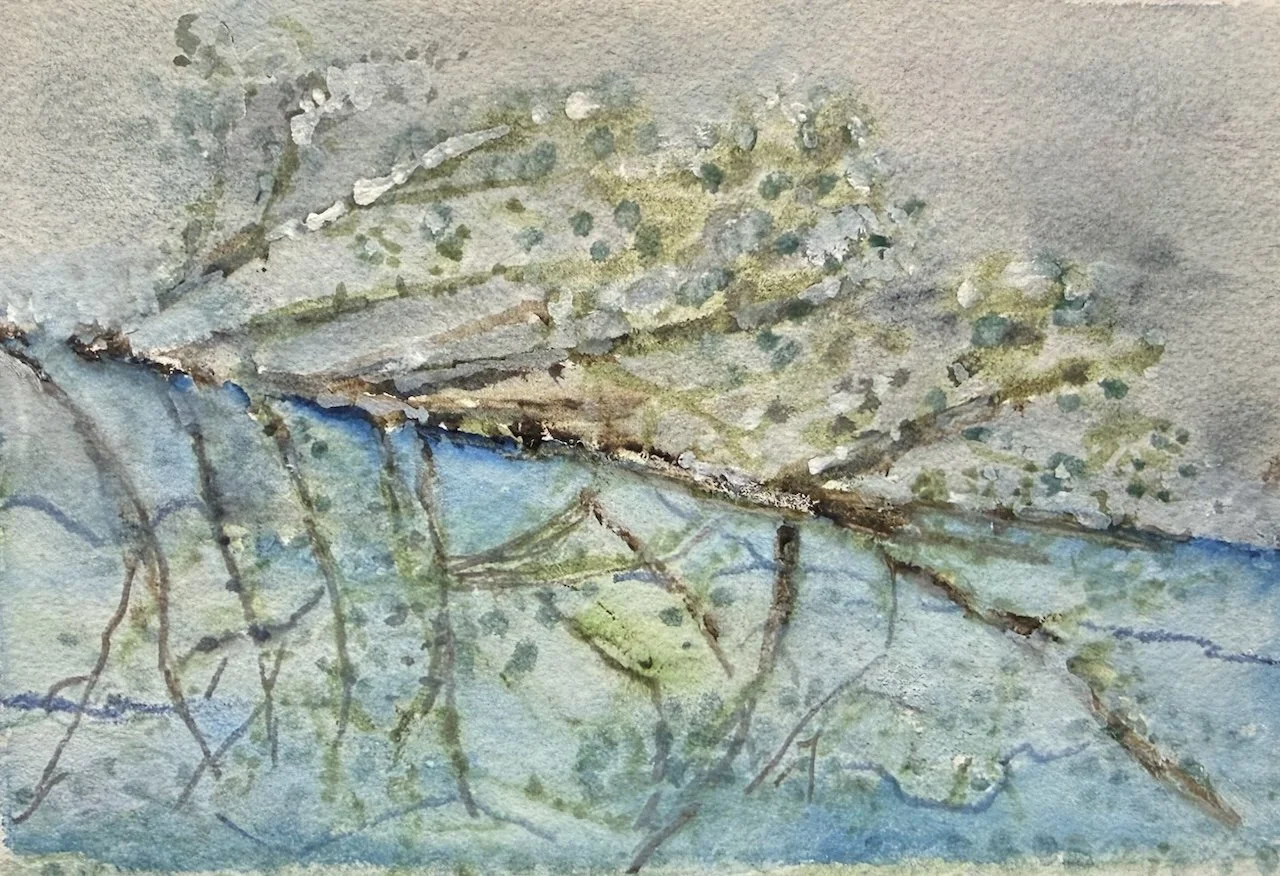 Frozen Juniper