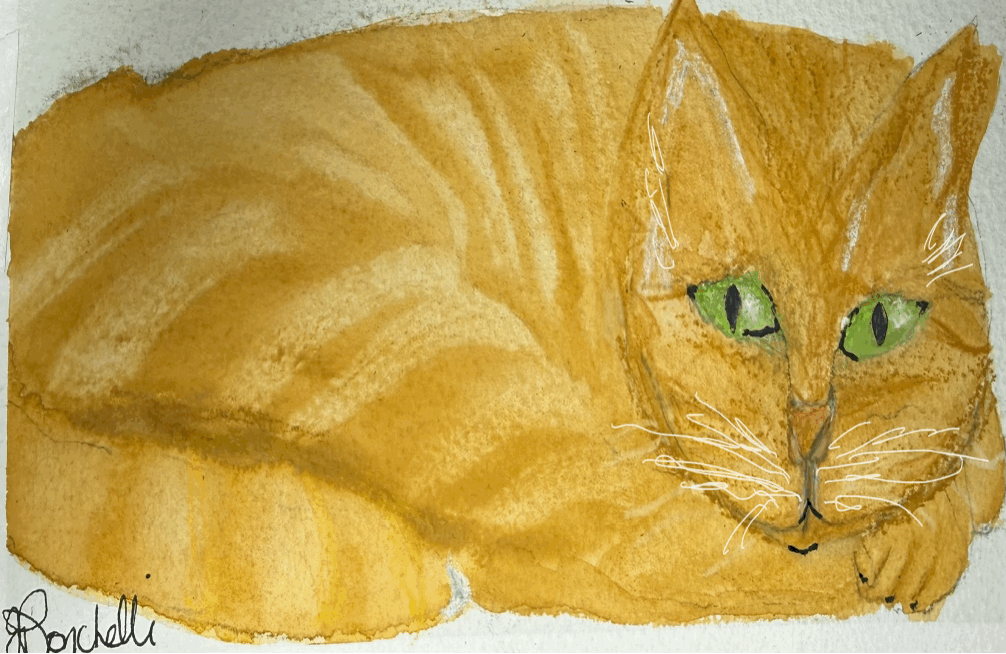 Ginger Tabby Cat watercolo
see mugsr 