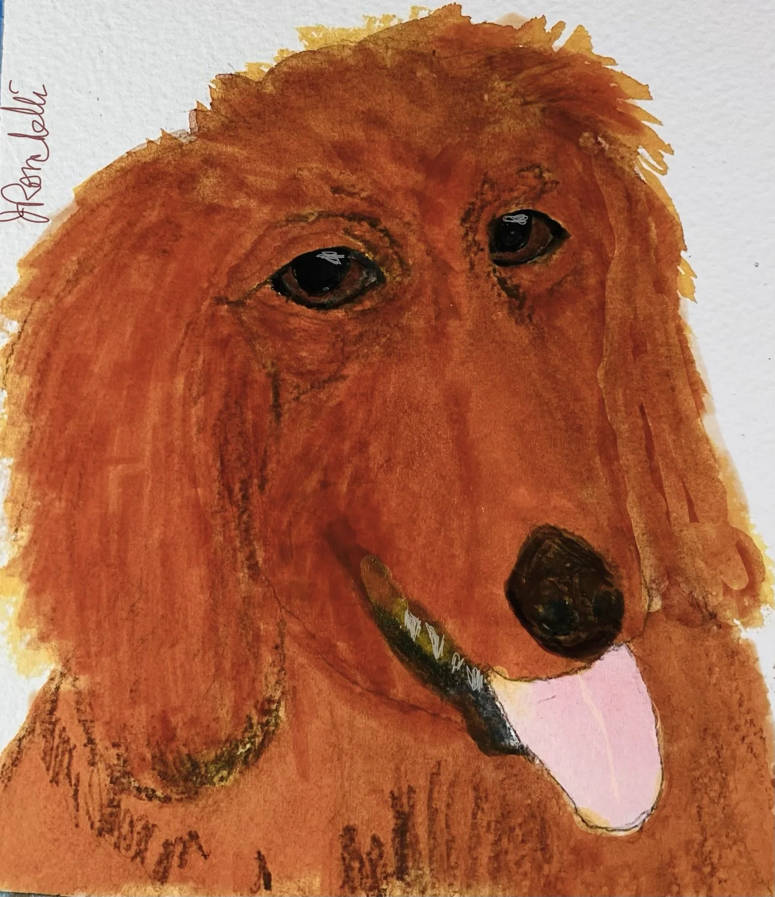 Red Golden Retriever  mixed media 
see mugs