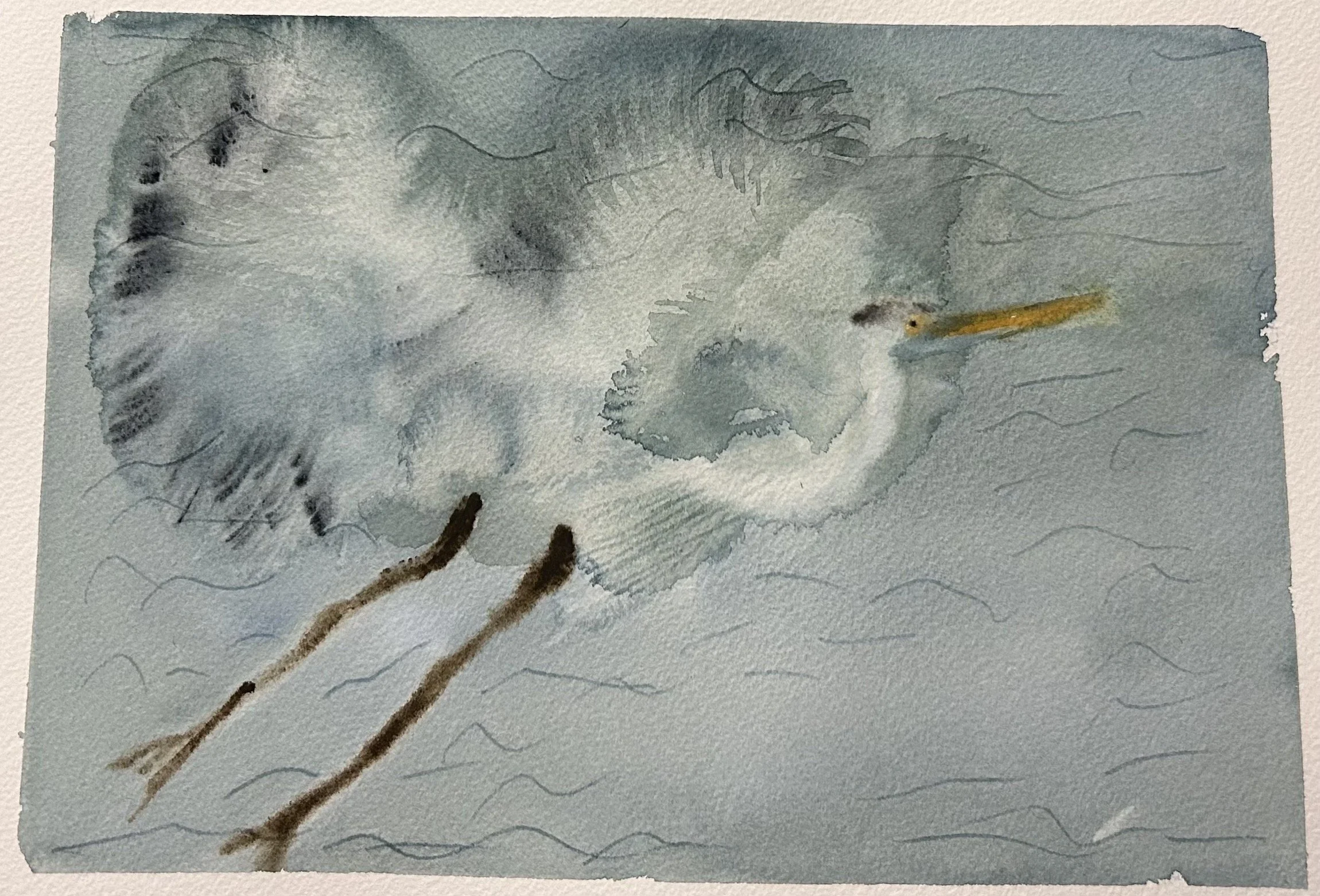 Blue Heron in Flight