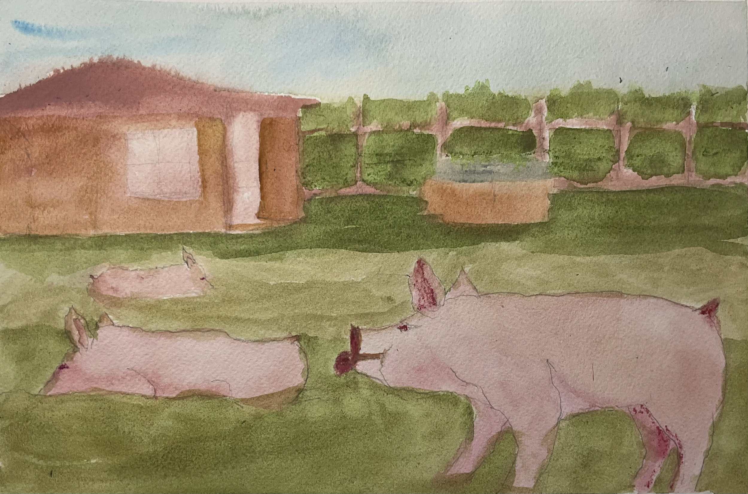 Pig Farm
