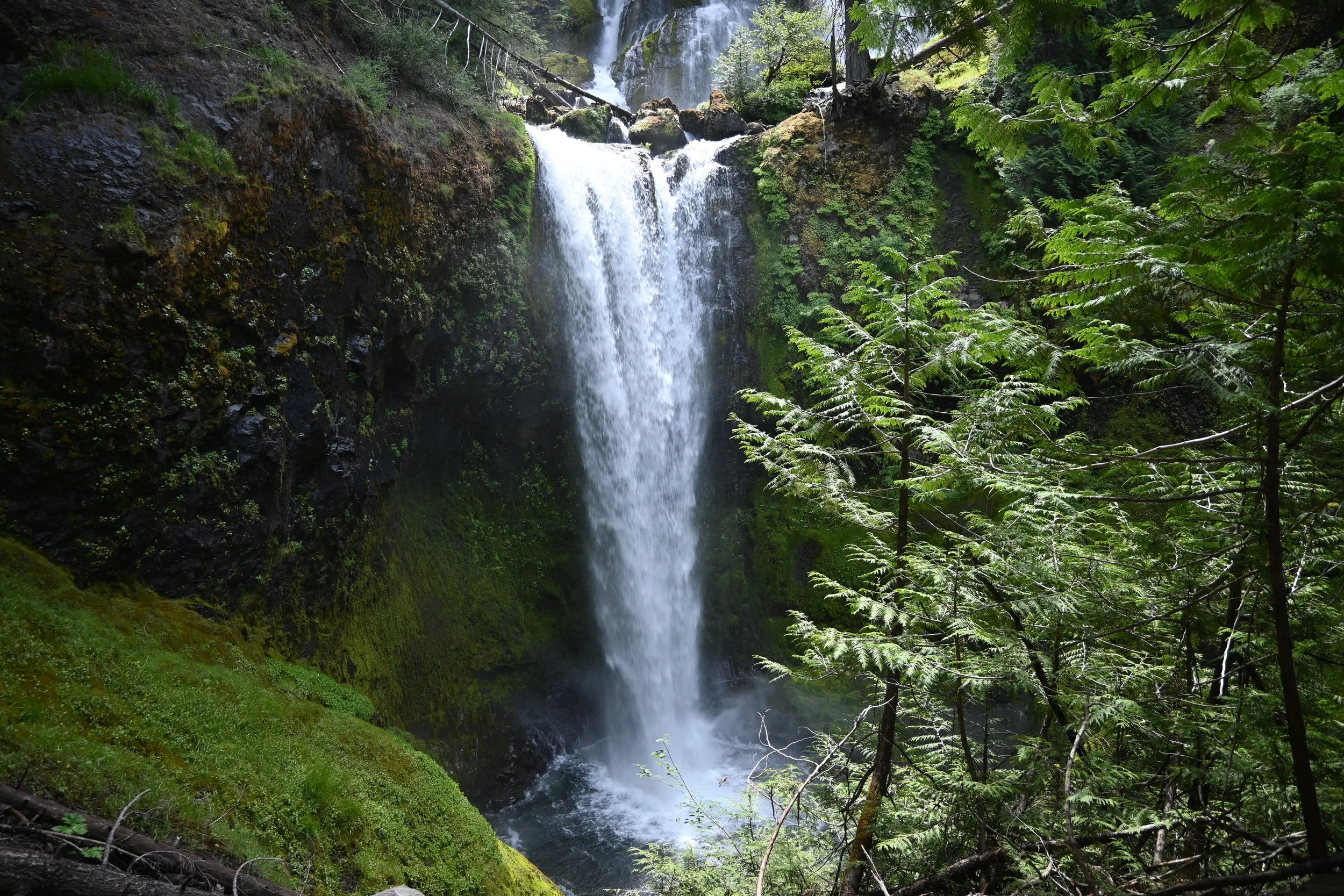 one of the falls in  SIlverton State  Park, Oregon
