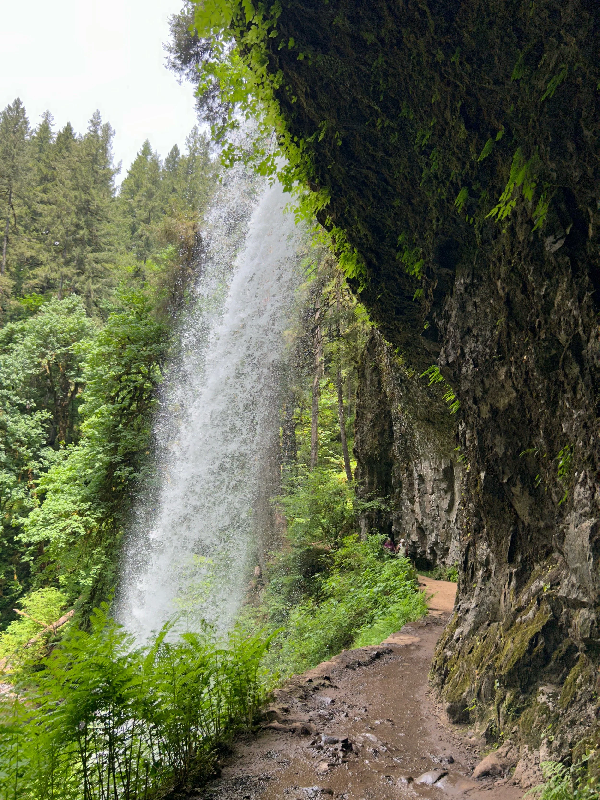 Falls in Silverton  state Park. 
