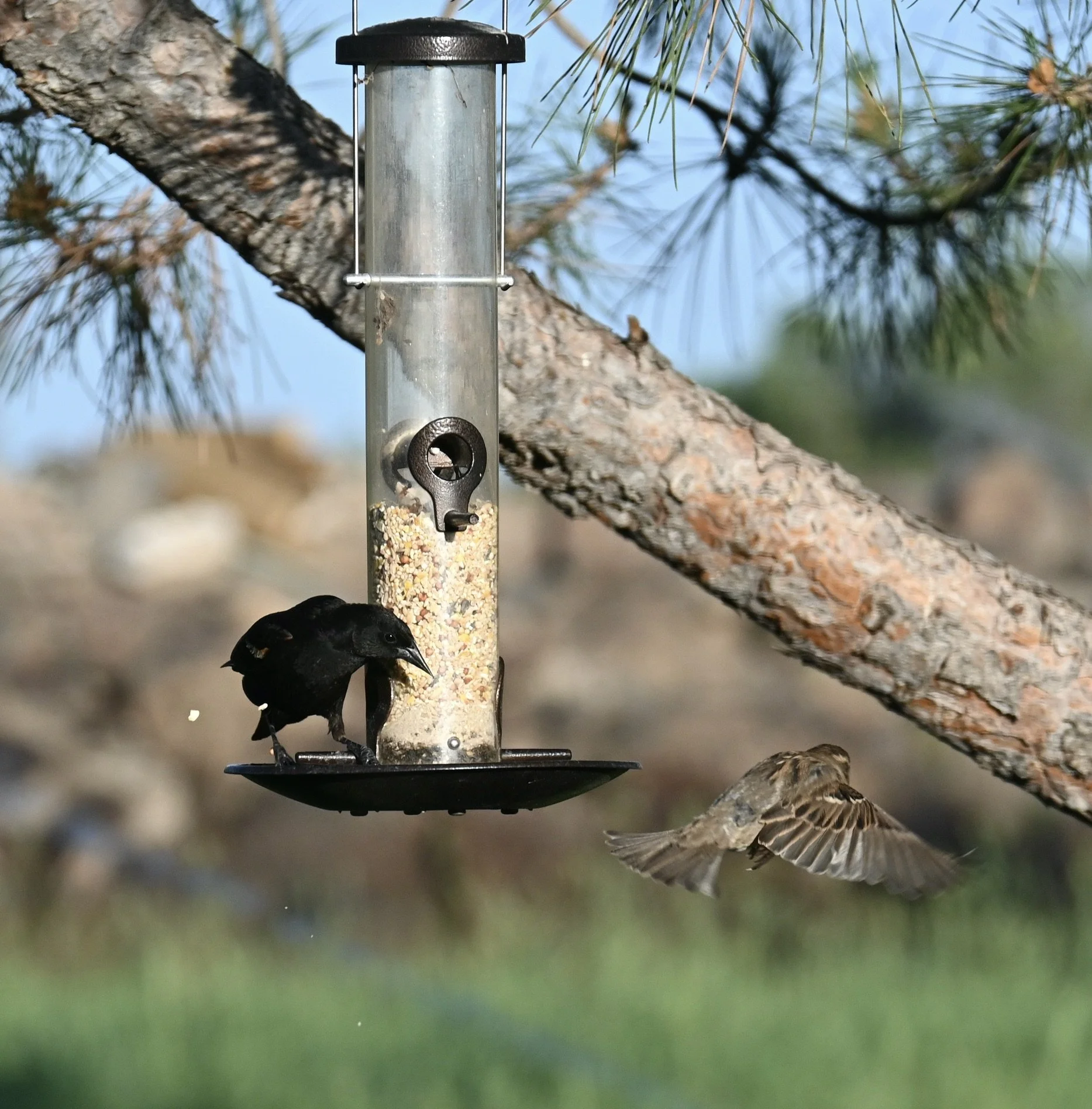 DSC_2005.JPG