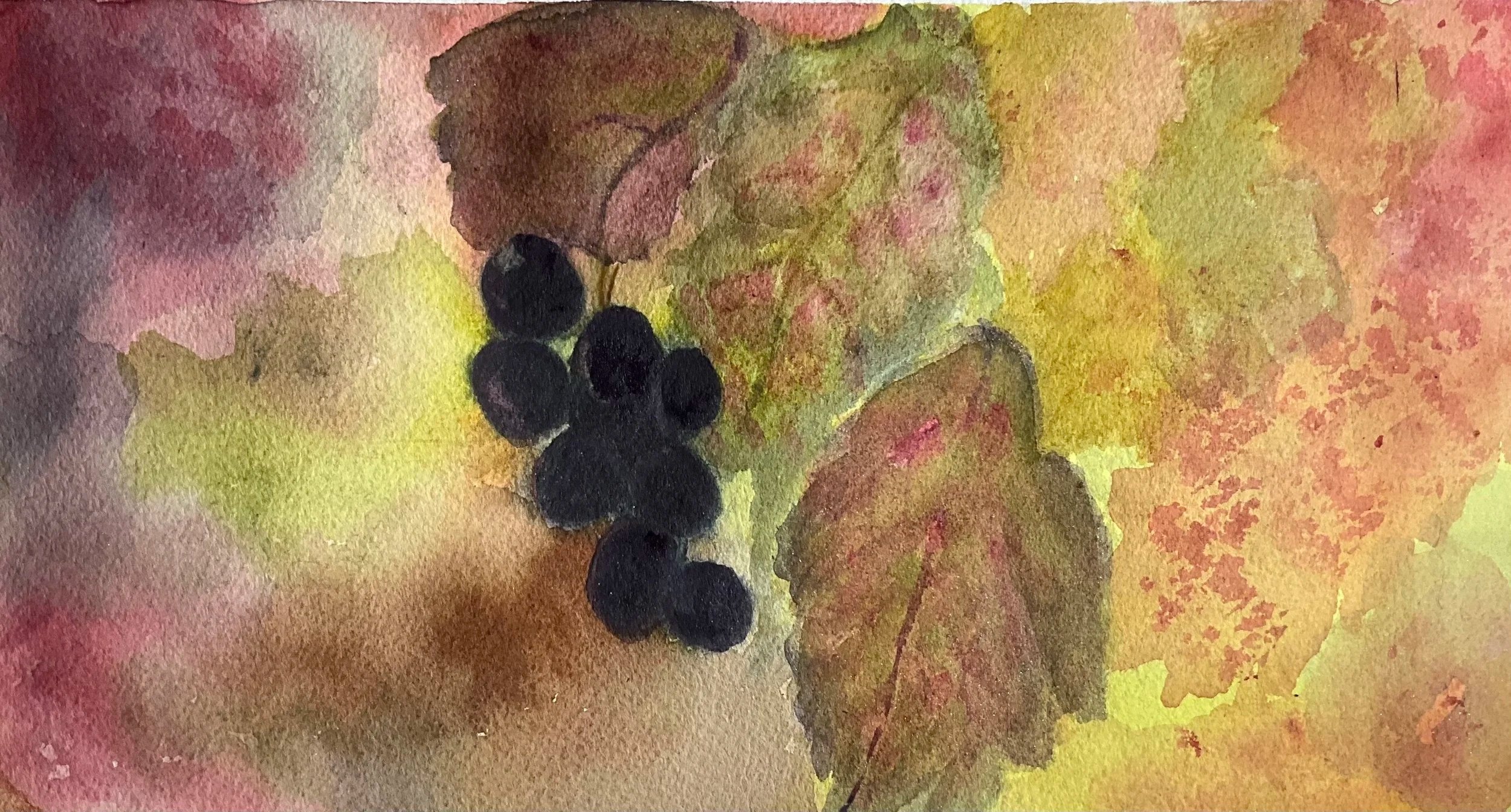Sunlit Vineyard Watercolor Art