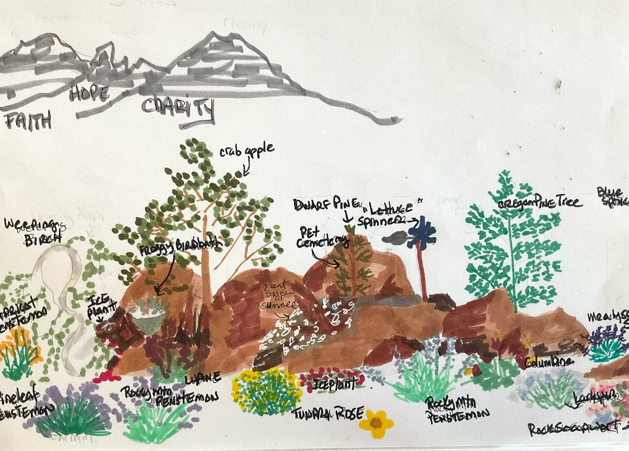 Rock garden