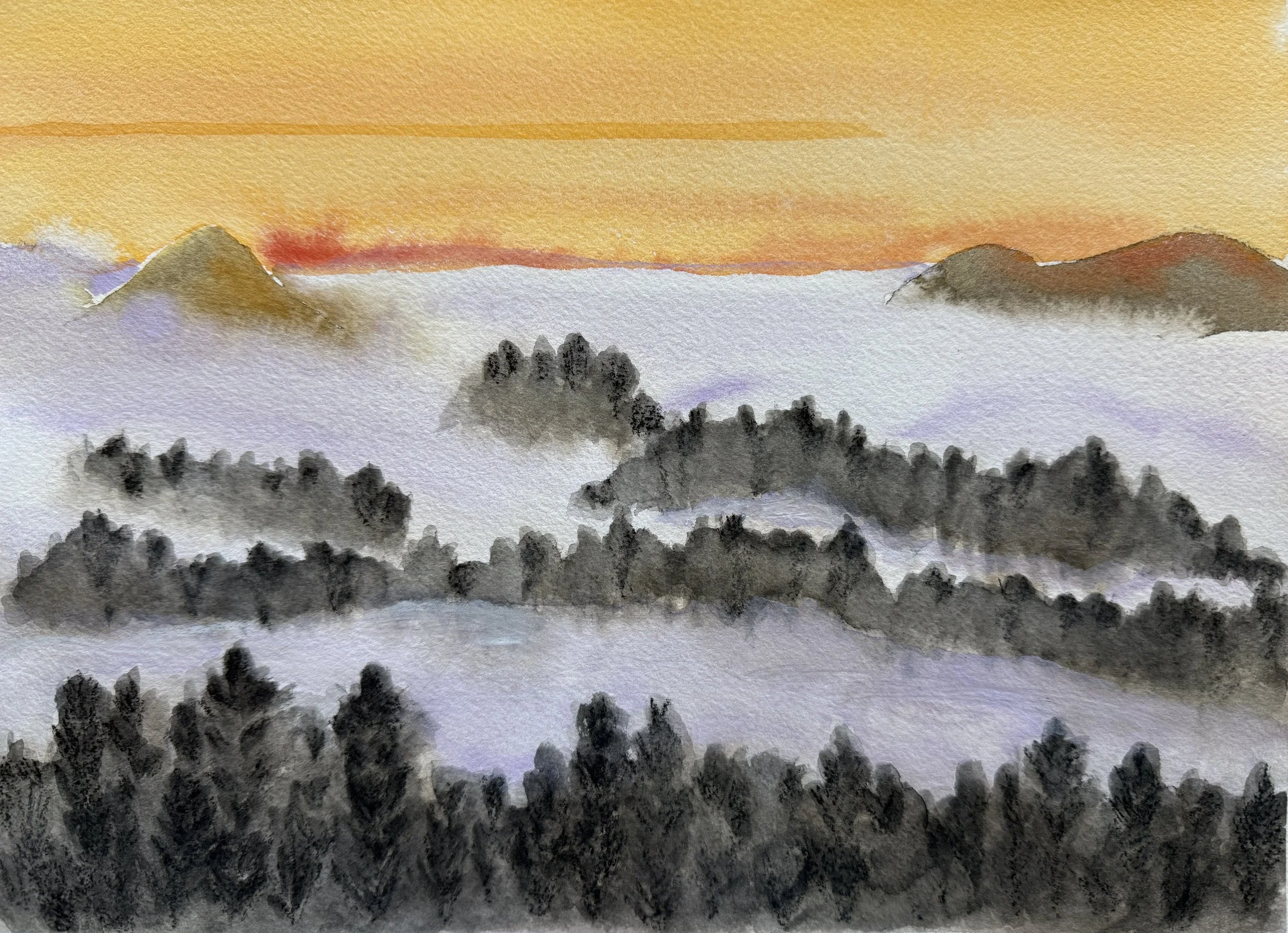 Mill Valley Fog 1, California;  WC