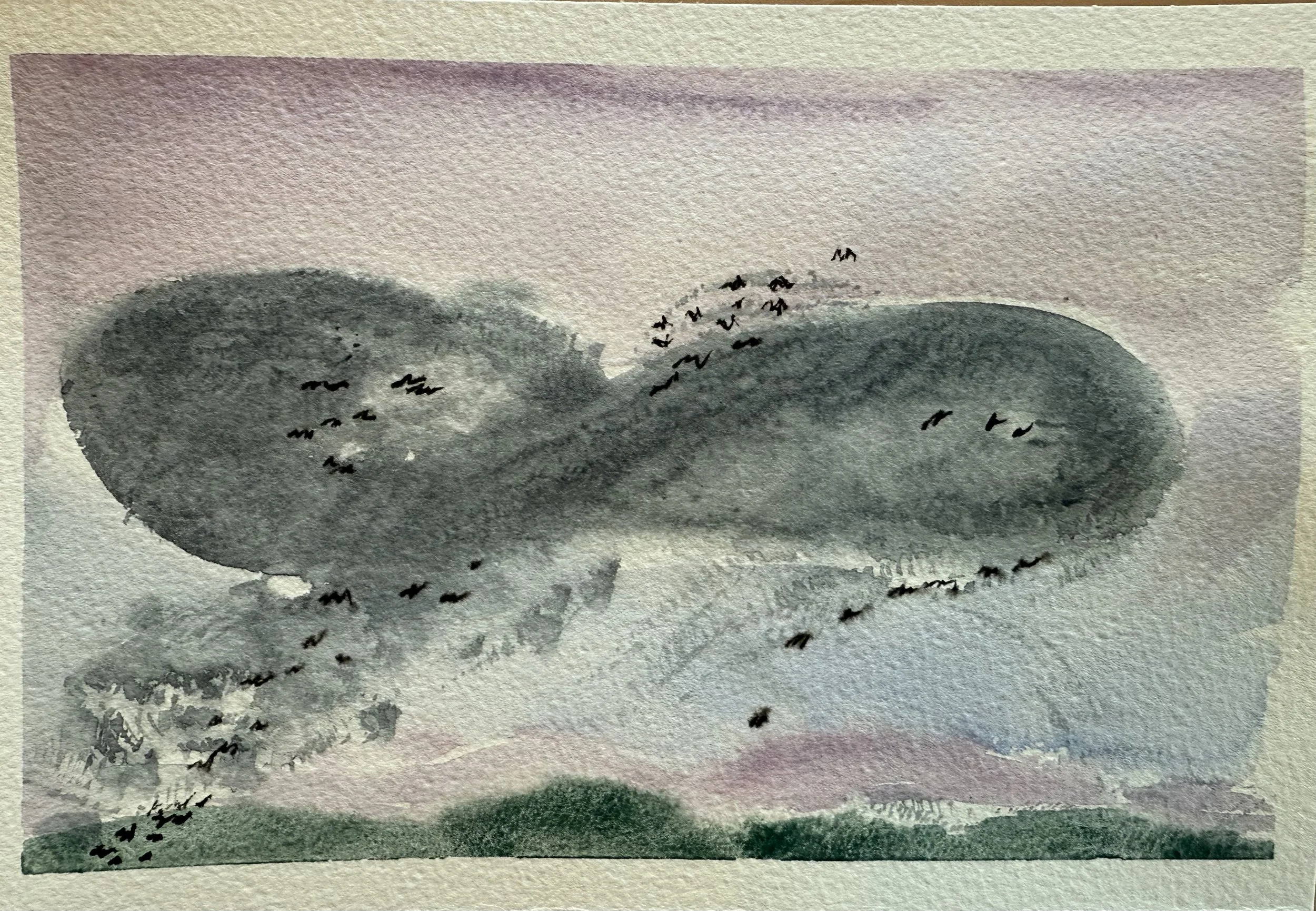starling bird murmuration