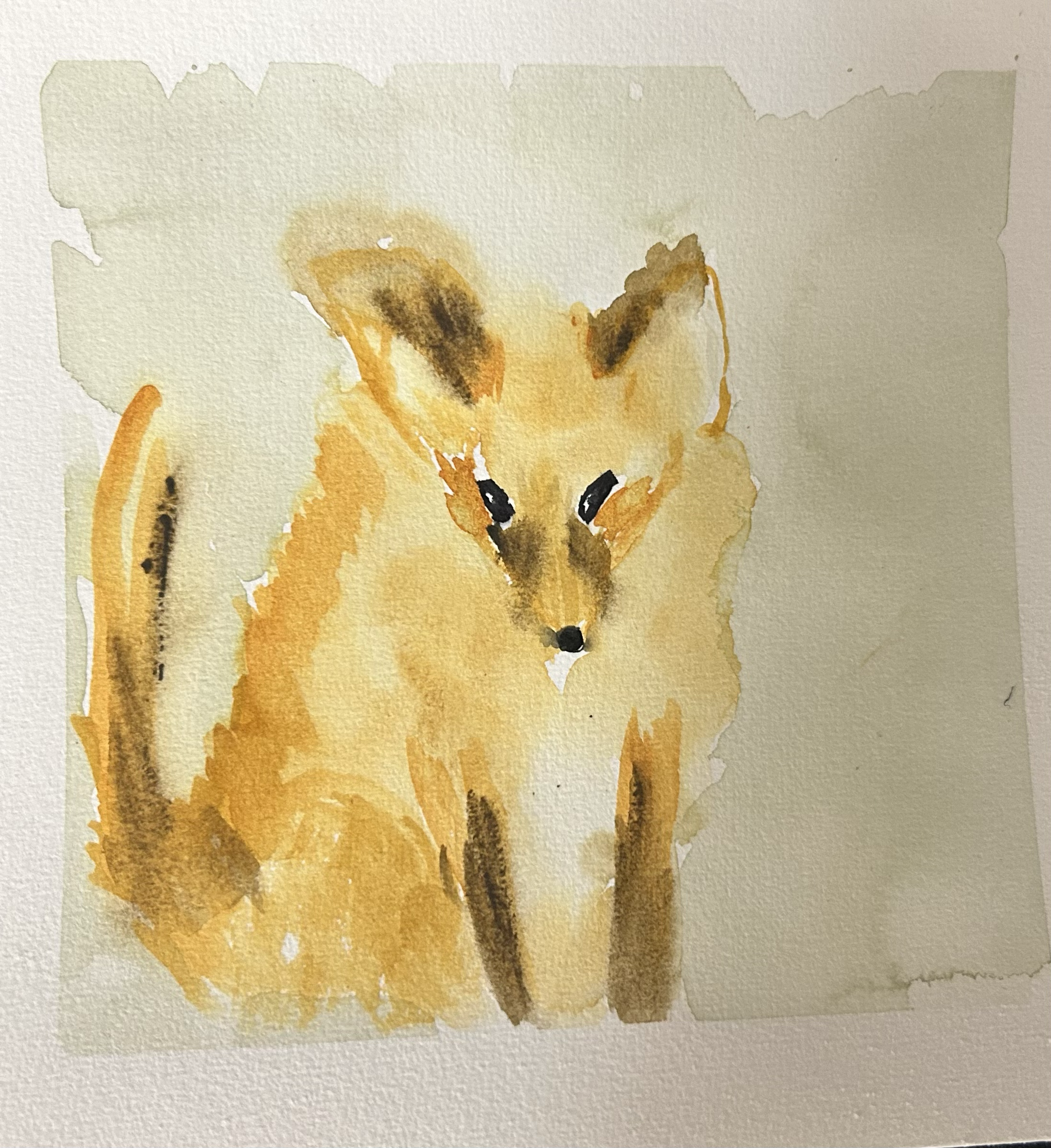 Watching Fox