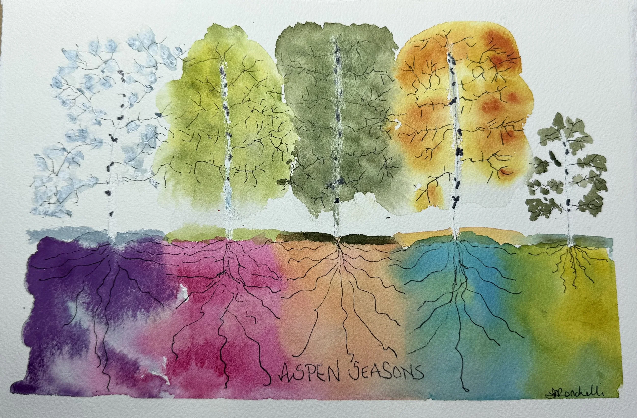 Aspen Seasons,  abstract WC