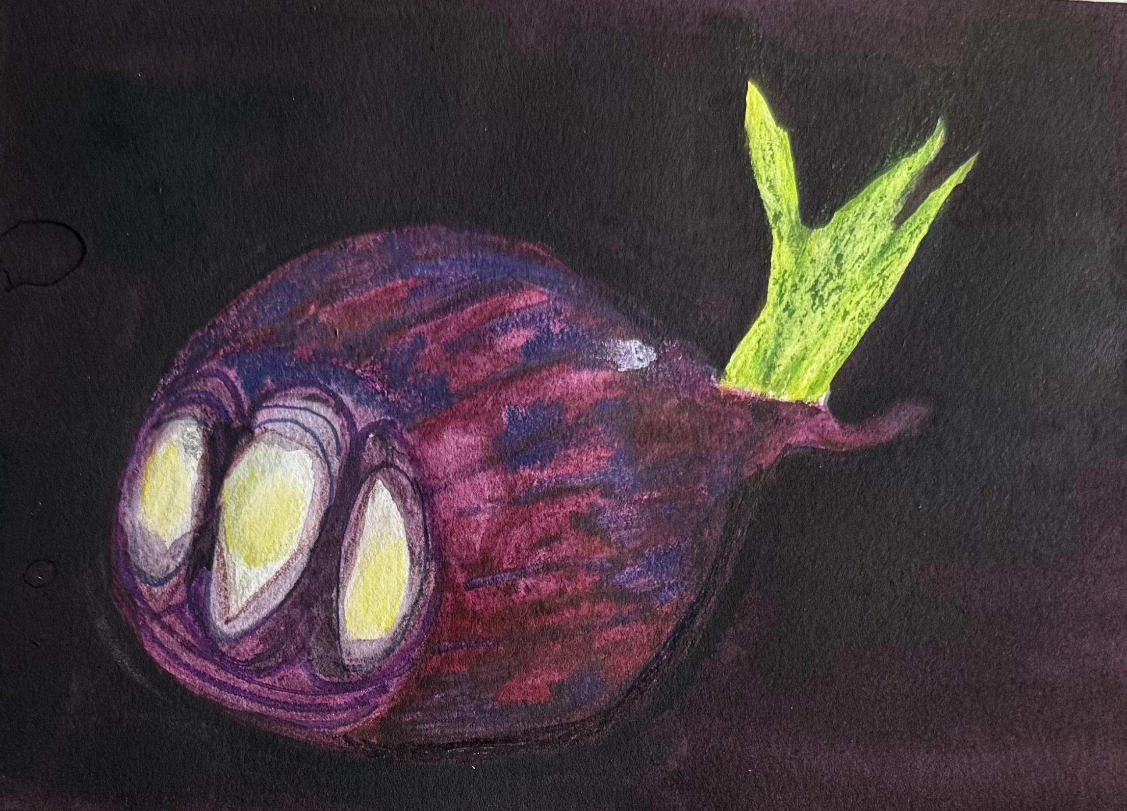 Purple Onion, WC still life