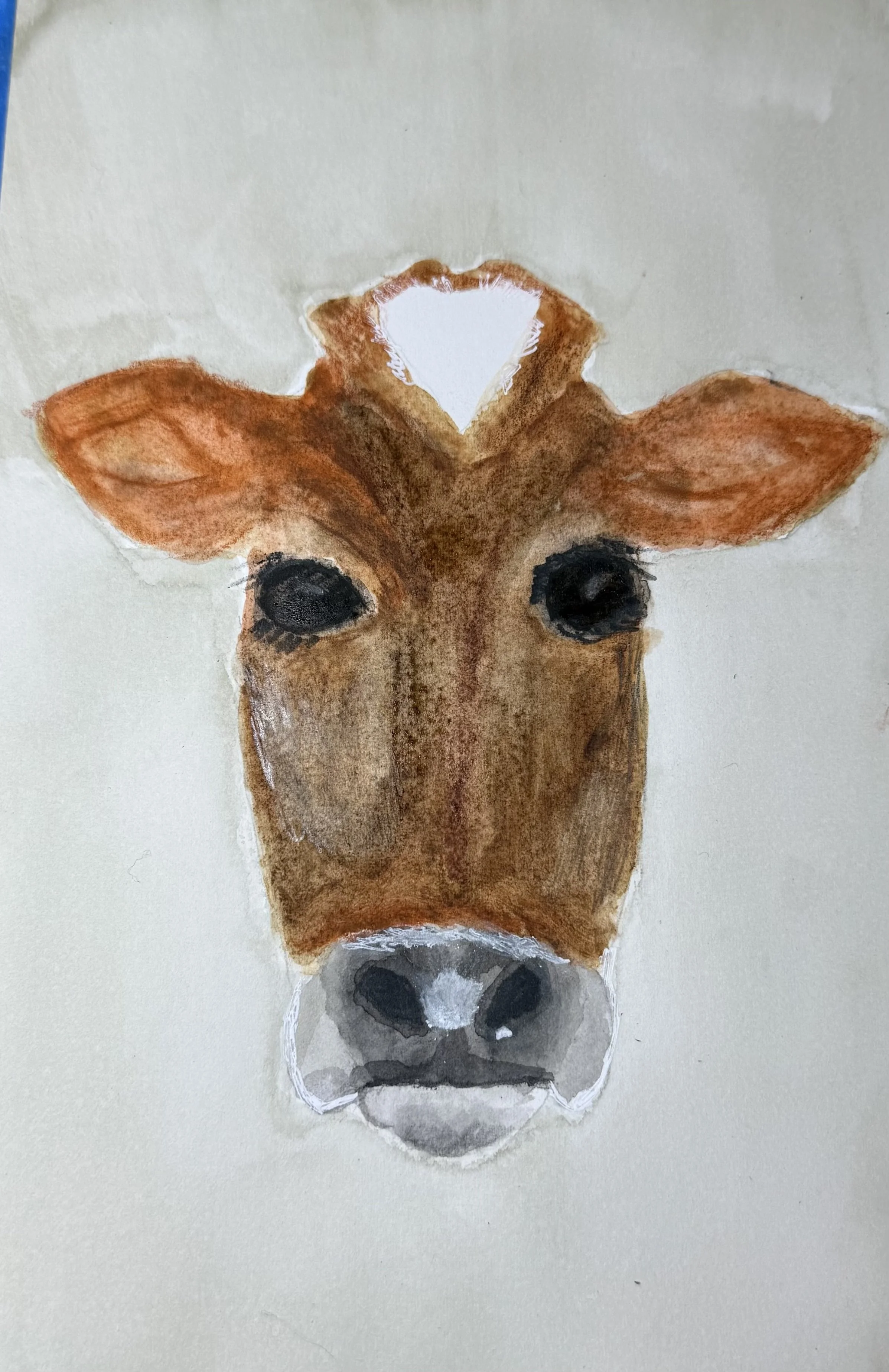 Cow head,  WC, 