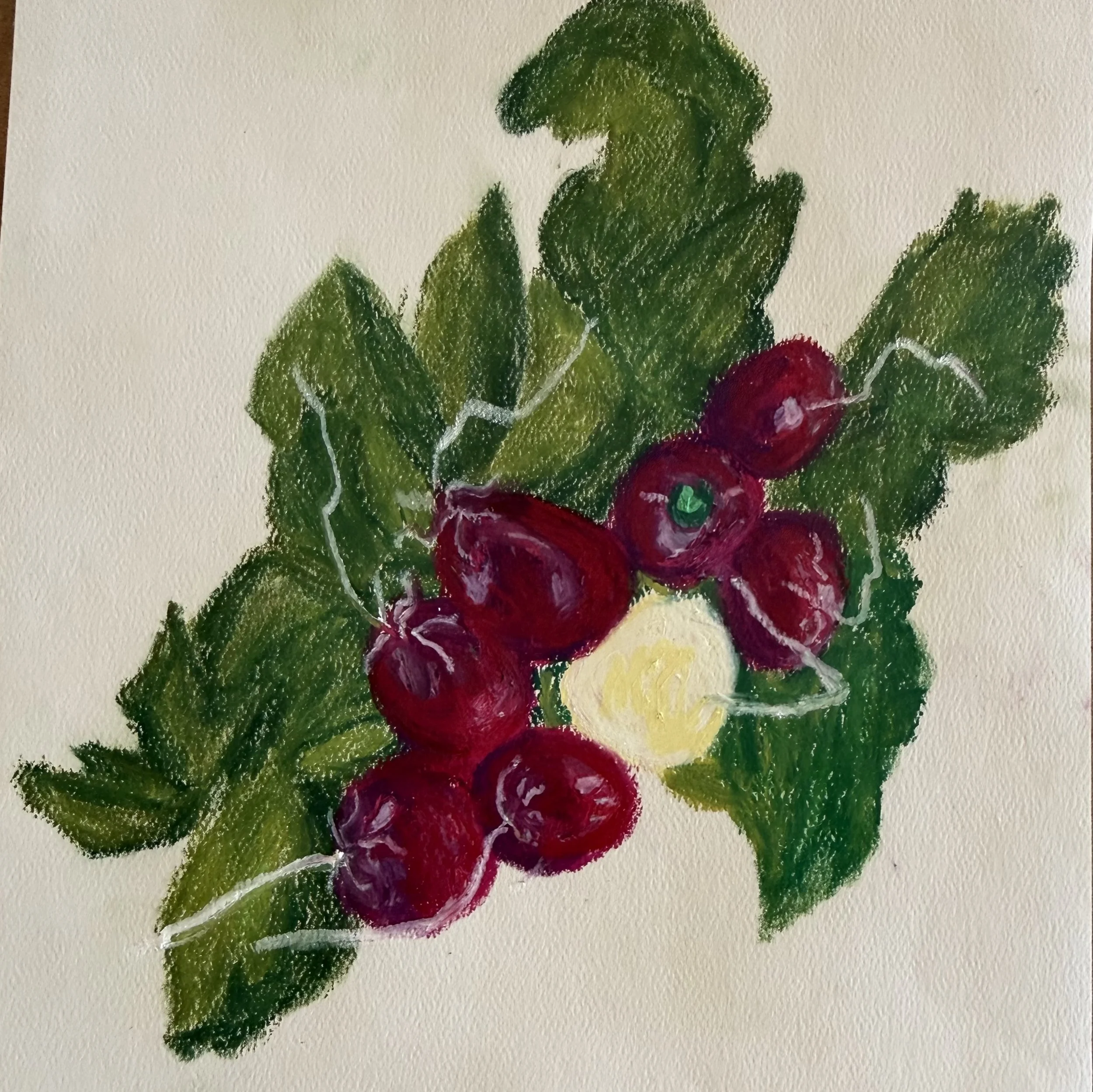 Radishes painted  in pastel 