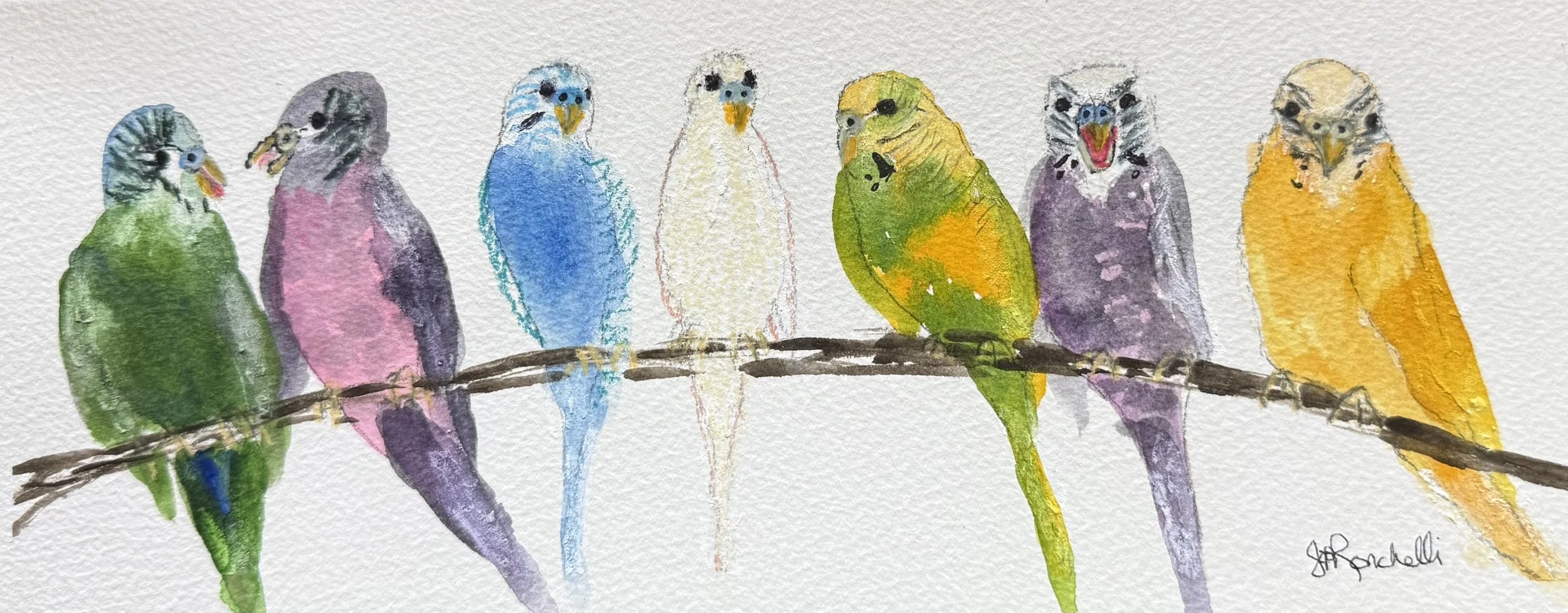 Parakeets Gathering