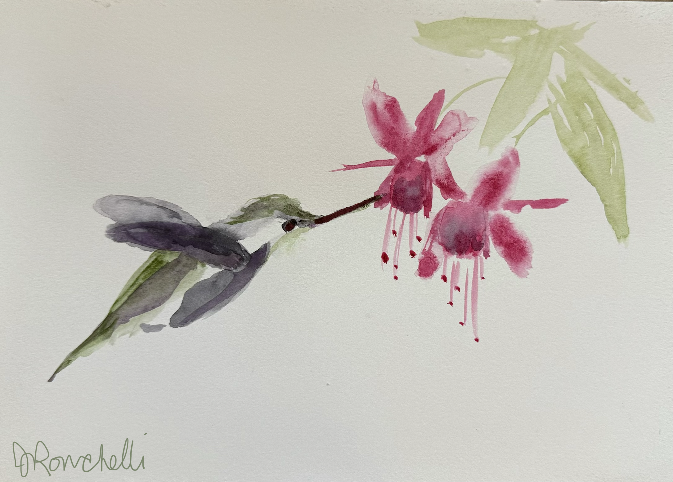 Humming bird