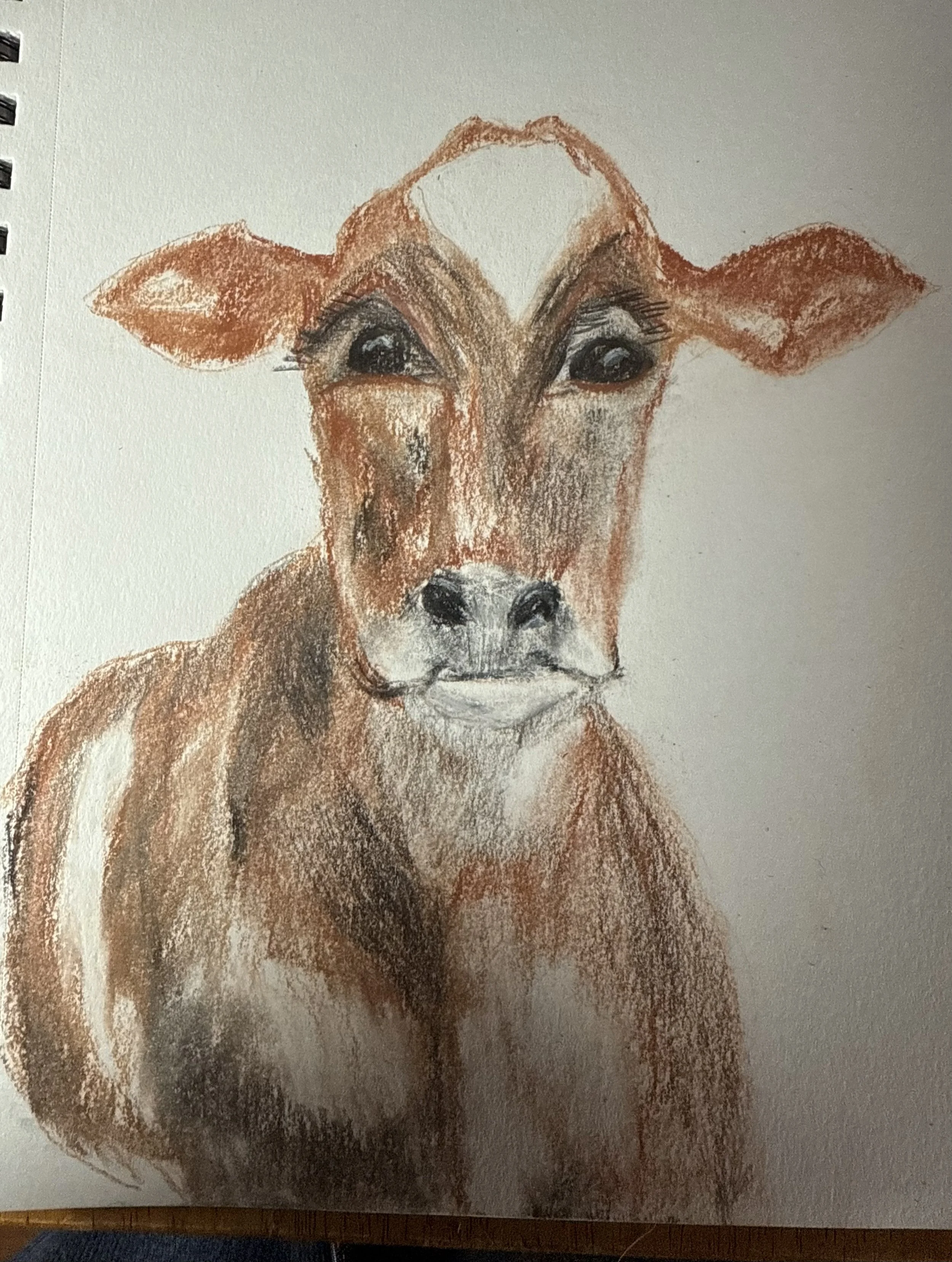 Cow
