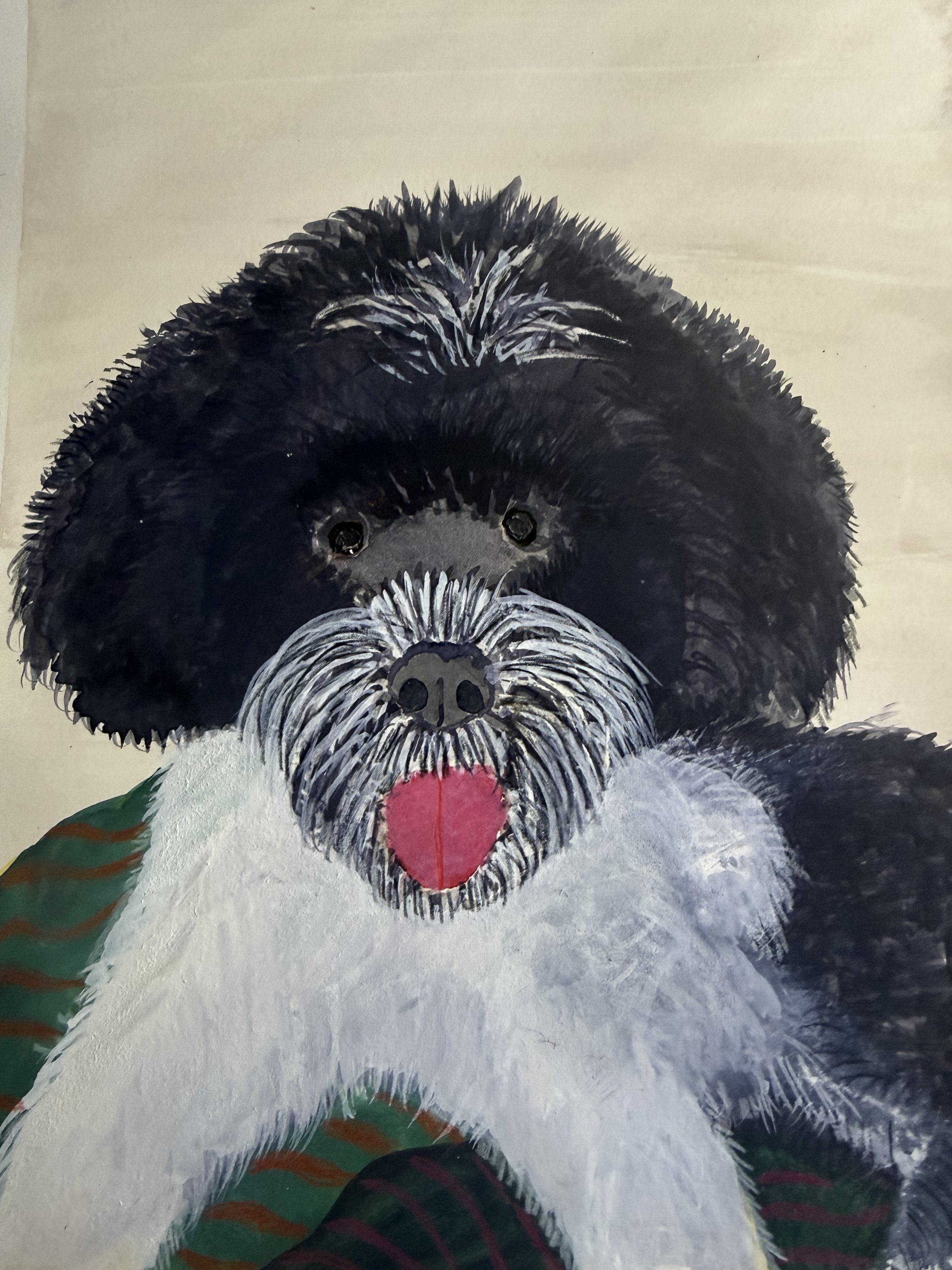 portuguese water dog