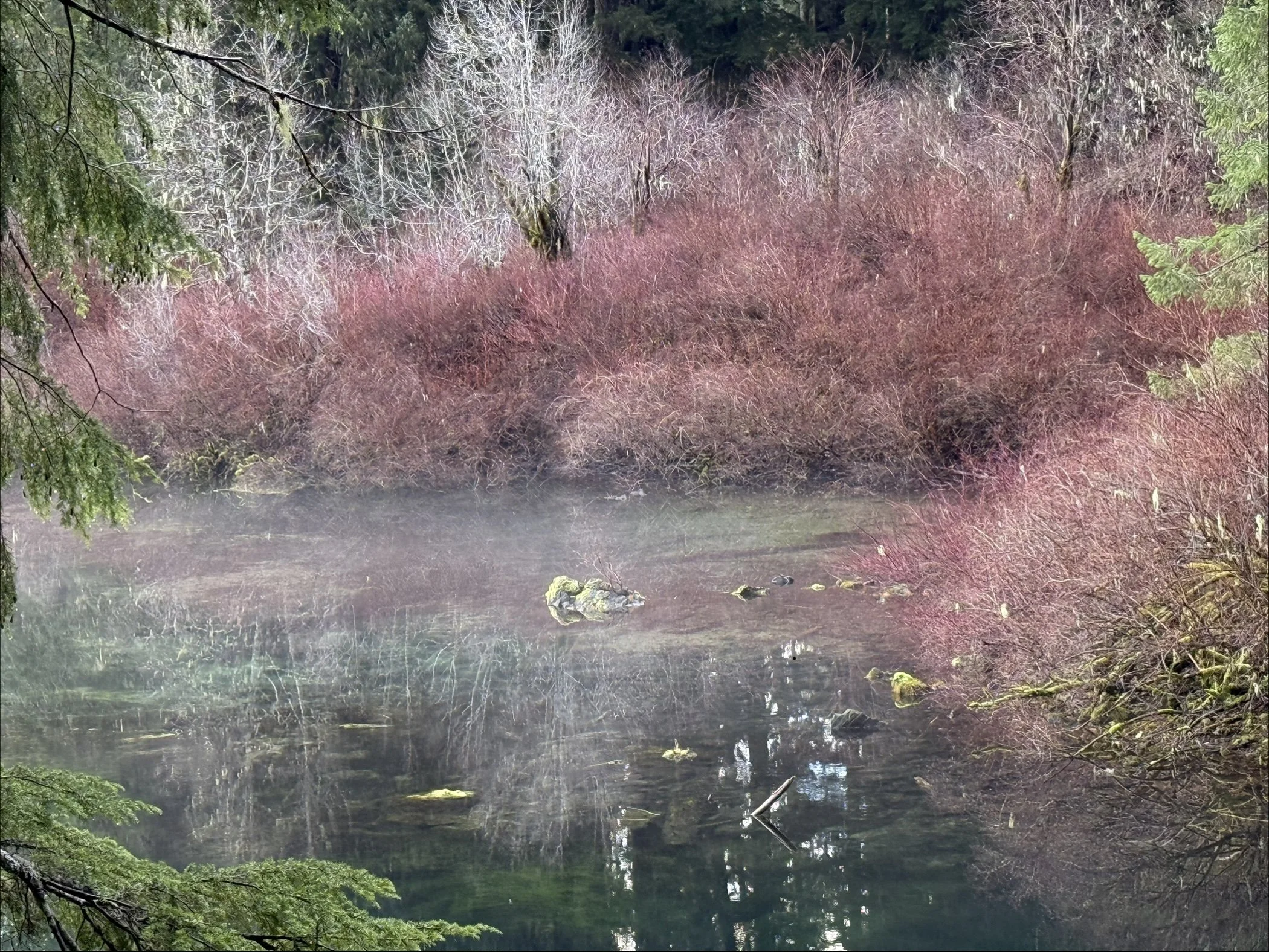 Clear lake with Fall in December 2025, OR