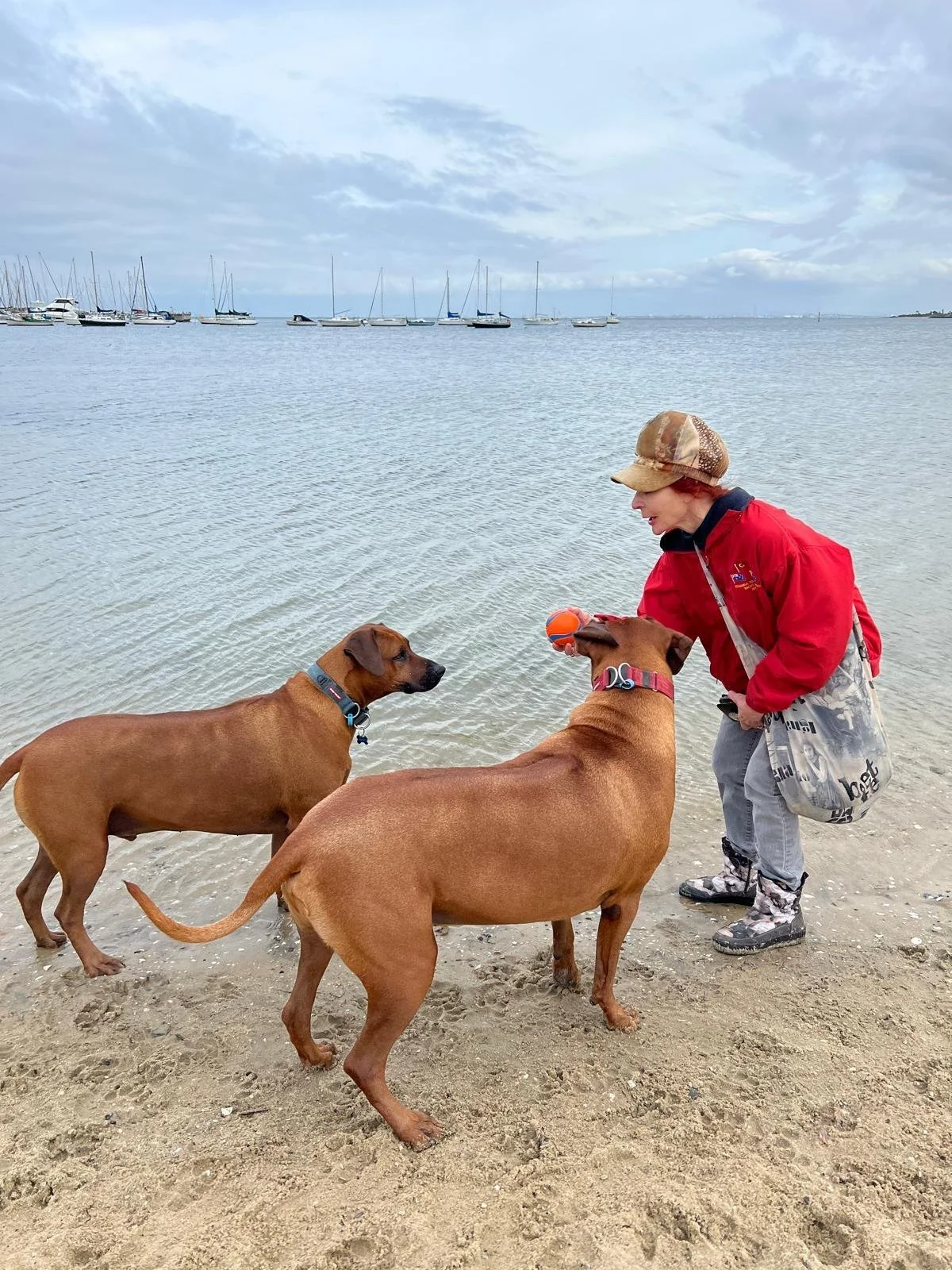 WhatsApp Image 2026-02-15 at 17.20.27.jpeg