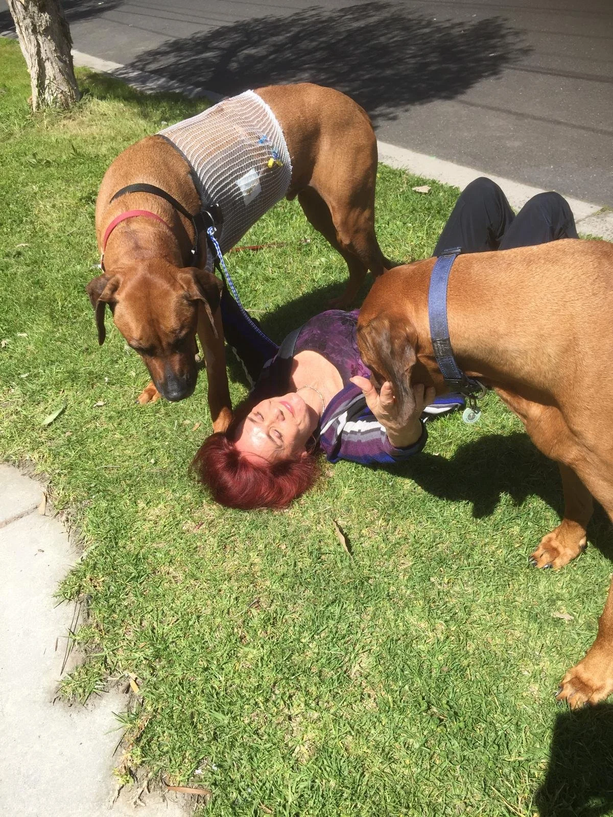 WhatsApp Image 2026-02-15 at 17.59.43.jpeg