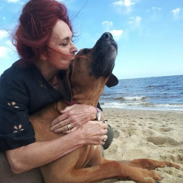 WhatsApp Image 2026-02-15 at 17.18.57.jpeg