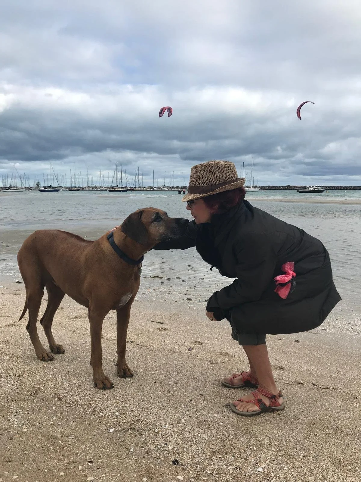 WhatsApp Image 2026-02-15 at 18.29.02.jpeg