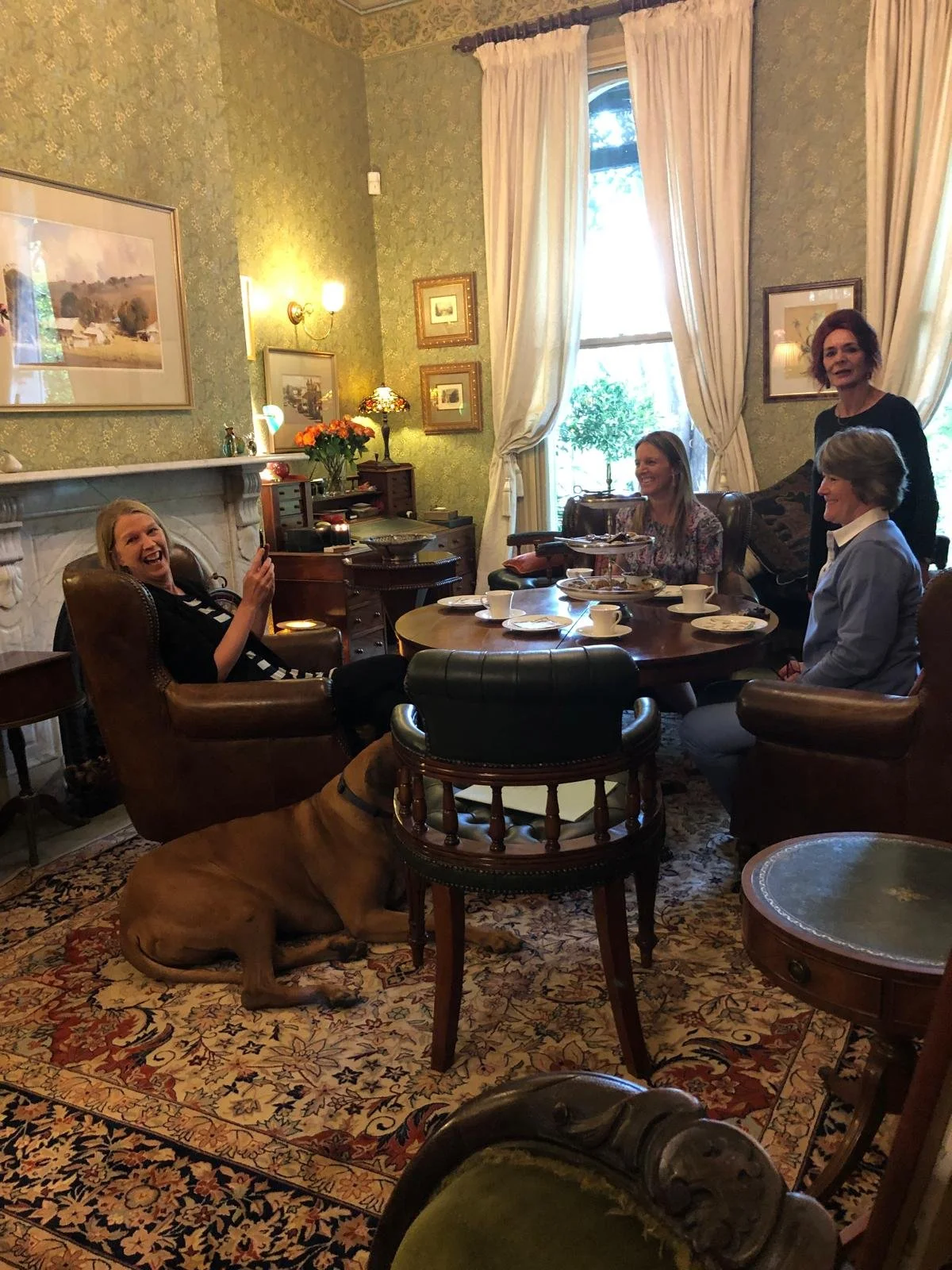 WhatsApp Image 2026-02-15 at 18.11.20.jpeg