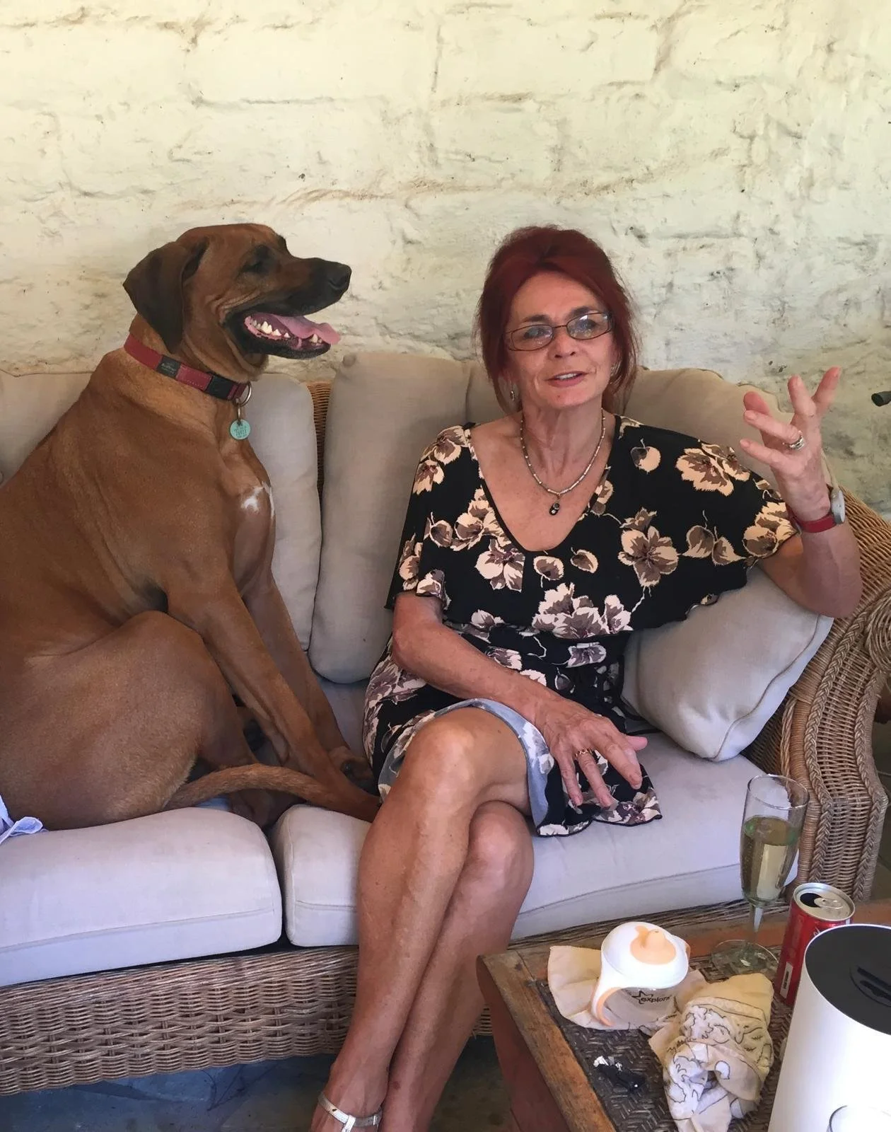 WhatsApp Image 2026-02-15 at 17.22.02.jpeg