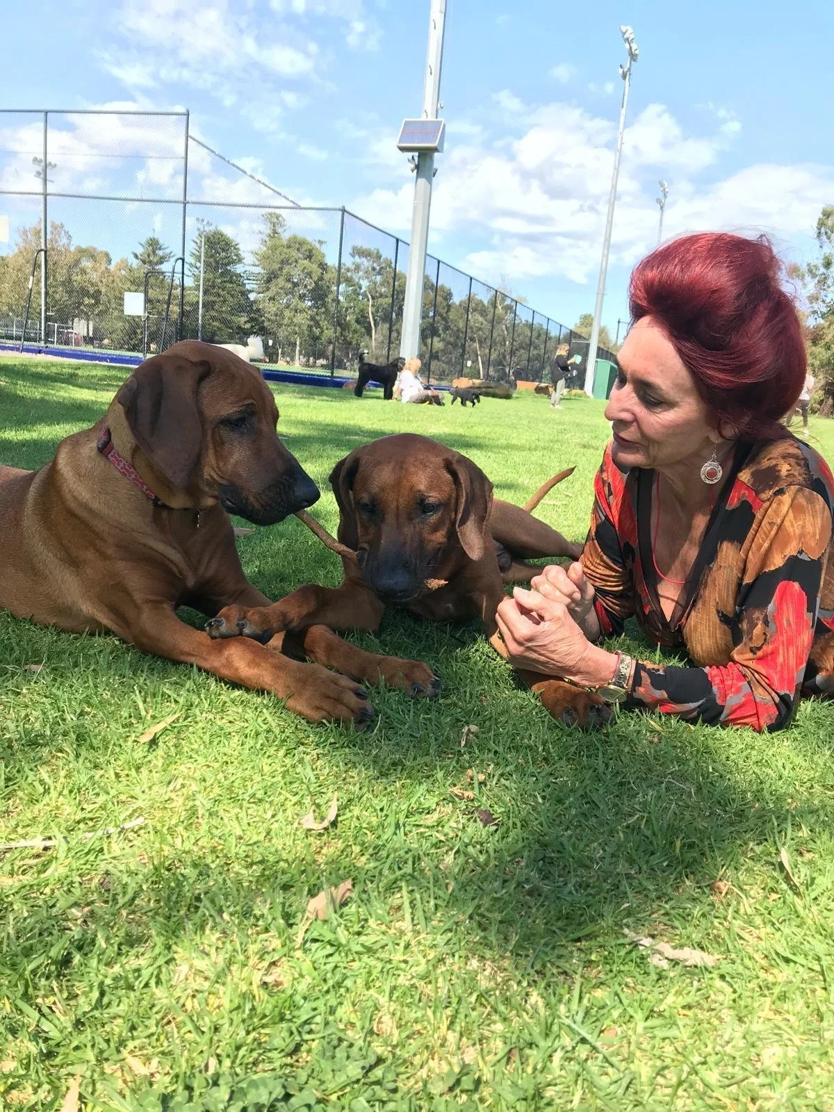 WhatsApp Image 2026-02-15 at 17.18.45.jpeg