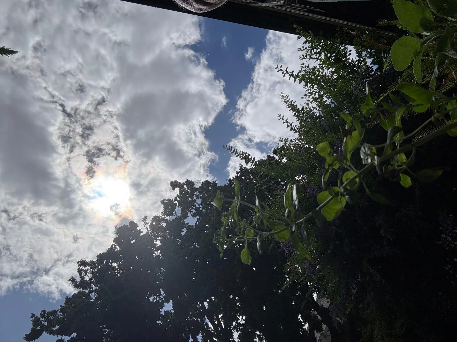 WhatsApp Image 2026-02-15 at 17.26.37.jpeg