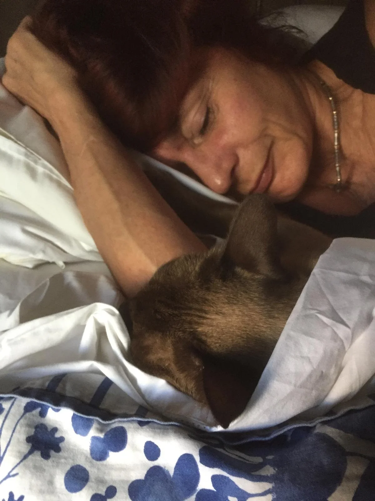 WhatsApp Image 2026-02-15 at 17.59.07.jpeg