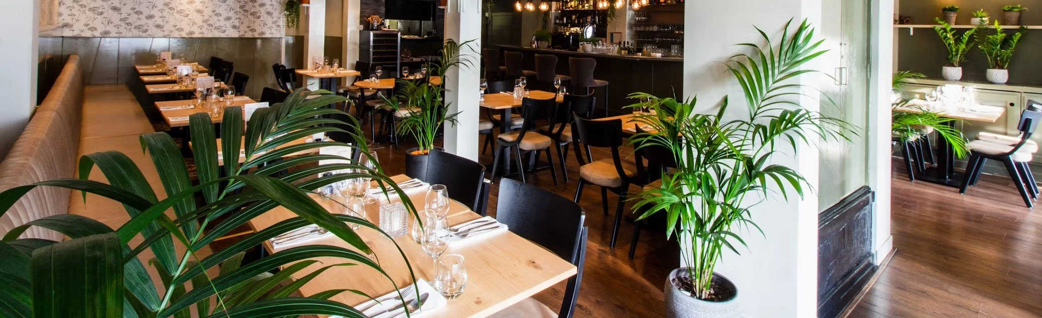 Cafe interior design