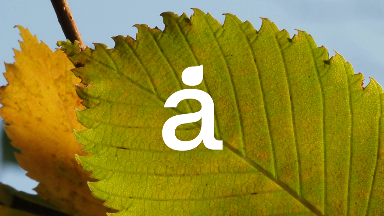 Adopta un Árbol Brand