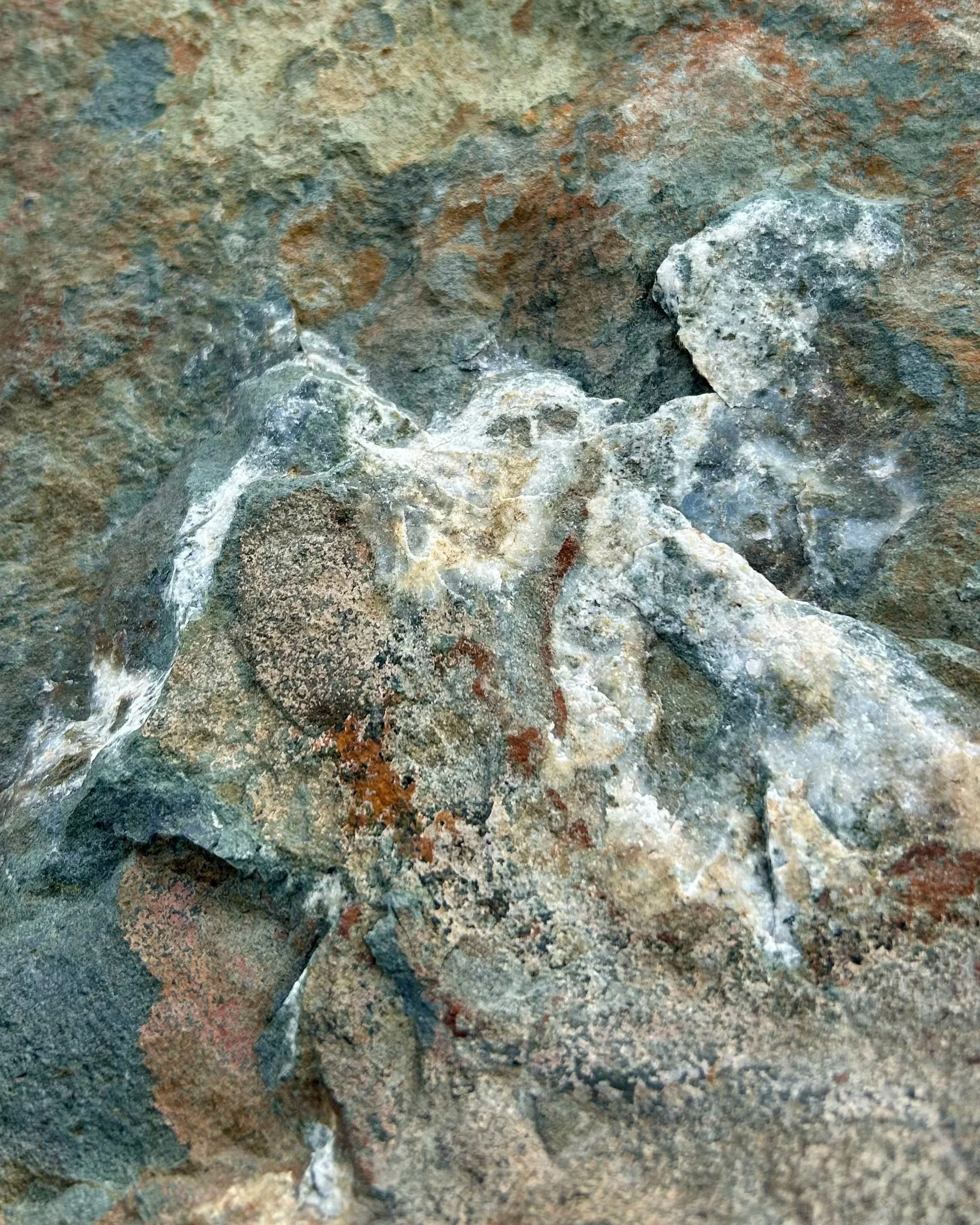 Observaciones - Digital