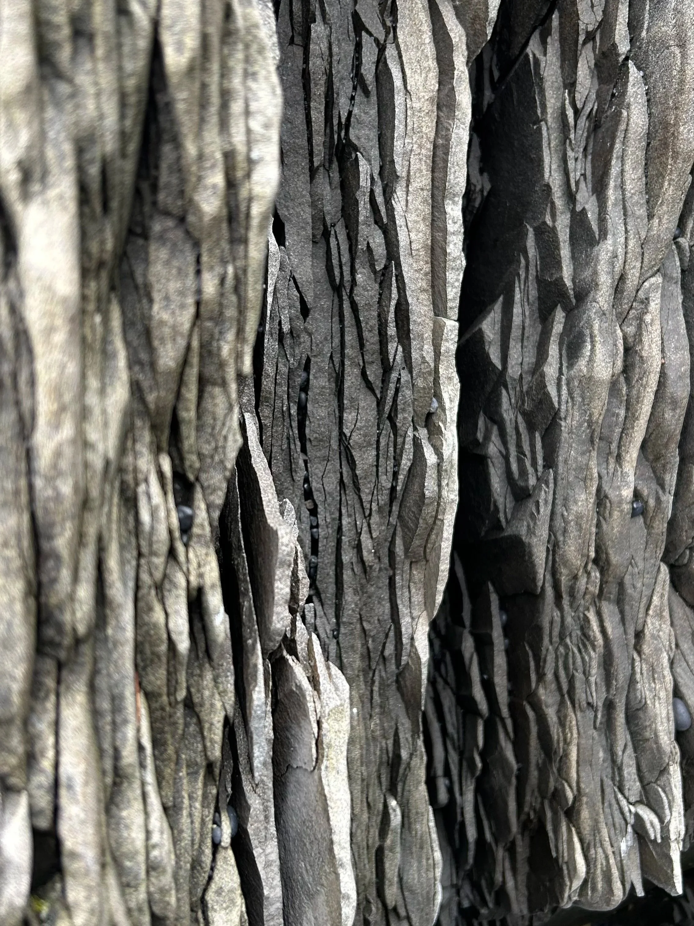 Observaciones - Digital