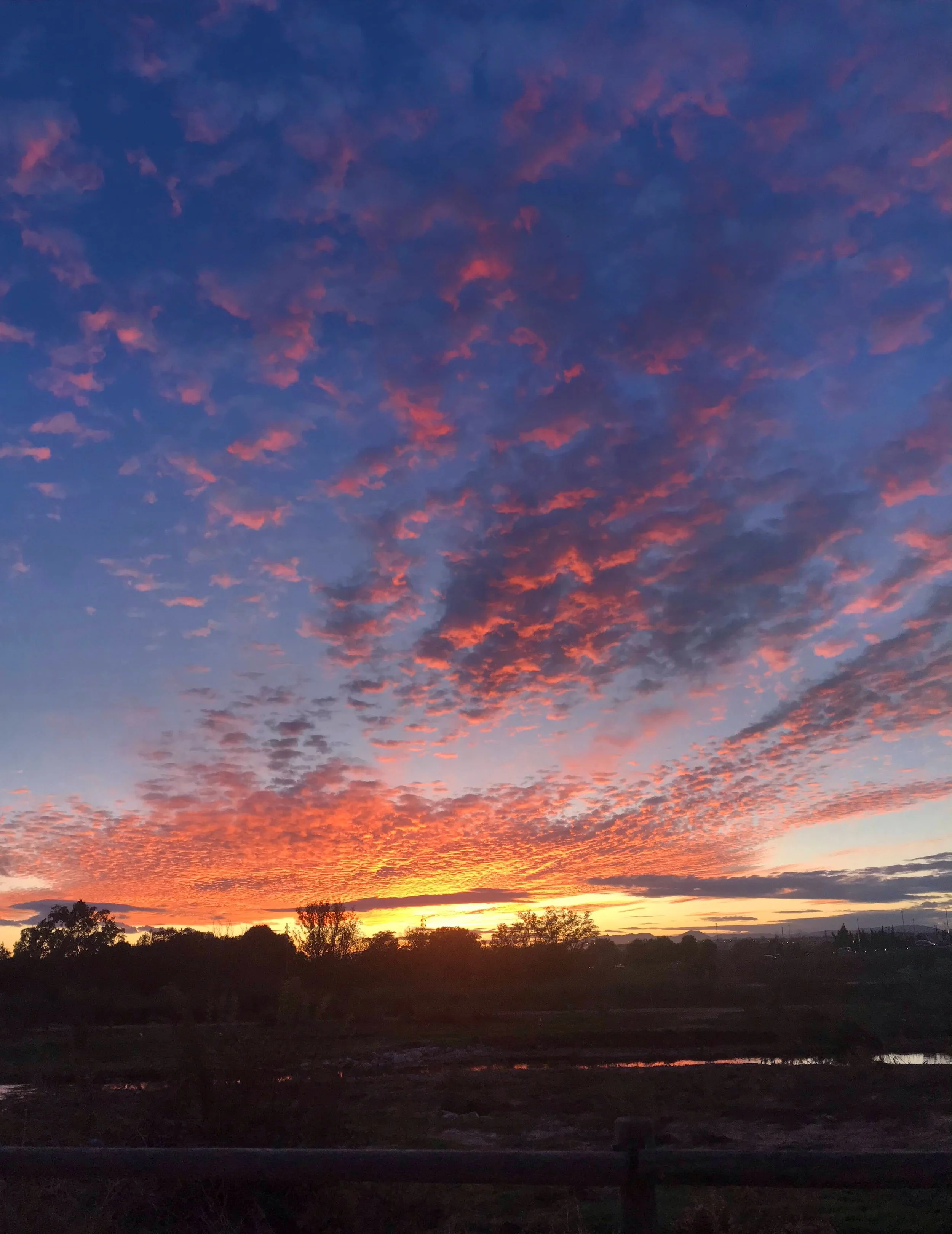 La paleta del mundo natural