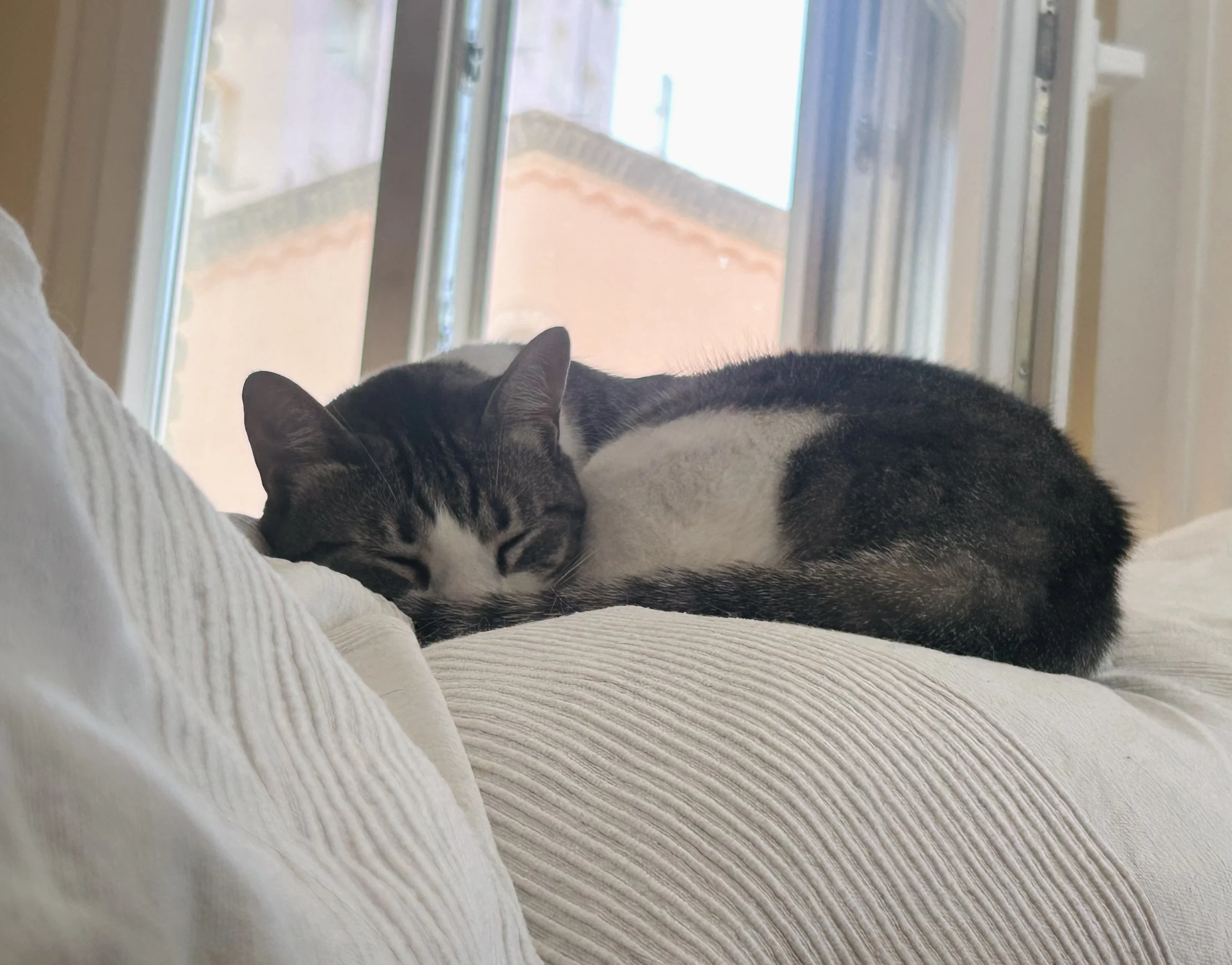 Descansa cuando lo necesites