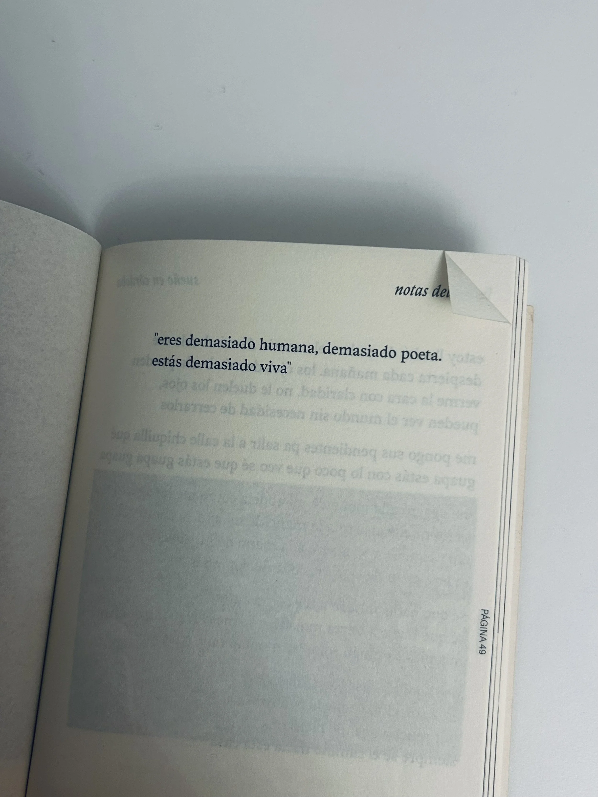 Open book with Spanish text and page number 49 visible at the bottom right corner.