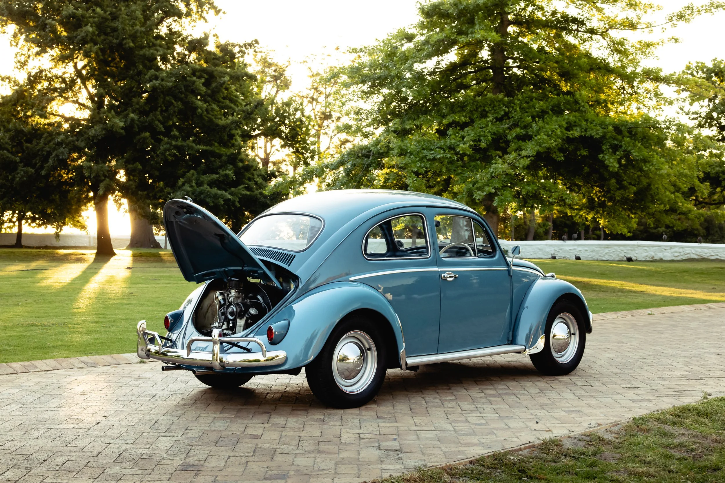 A vintage blue Volkswagen Beetle with the rear engine cover open, parked on a brick pathway in a park-like setting with lush green trees and sunlight streaming through.