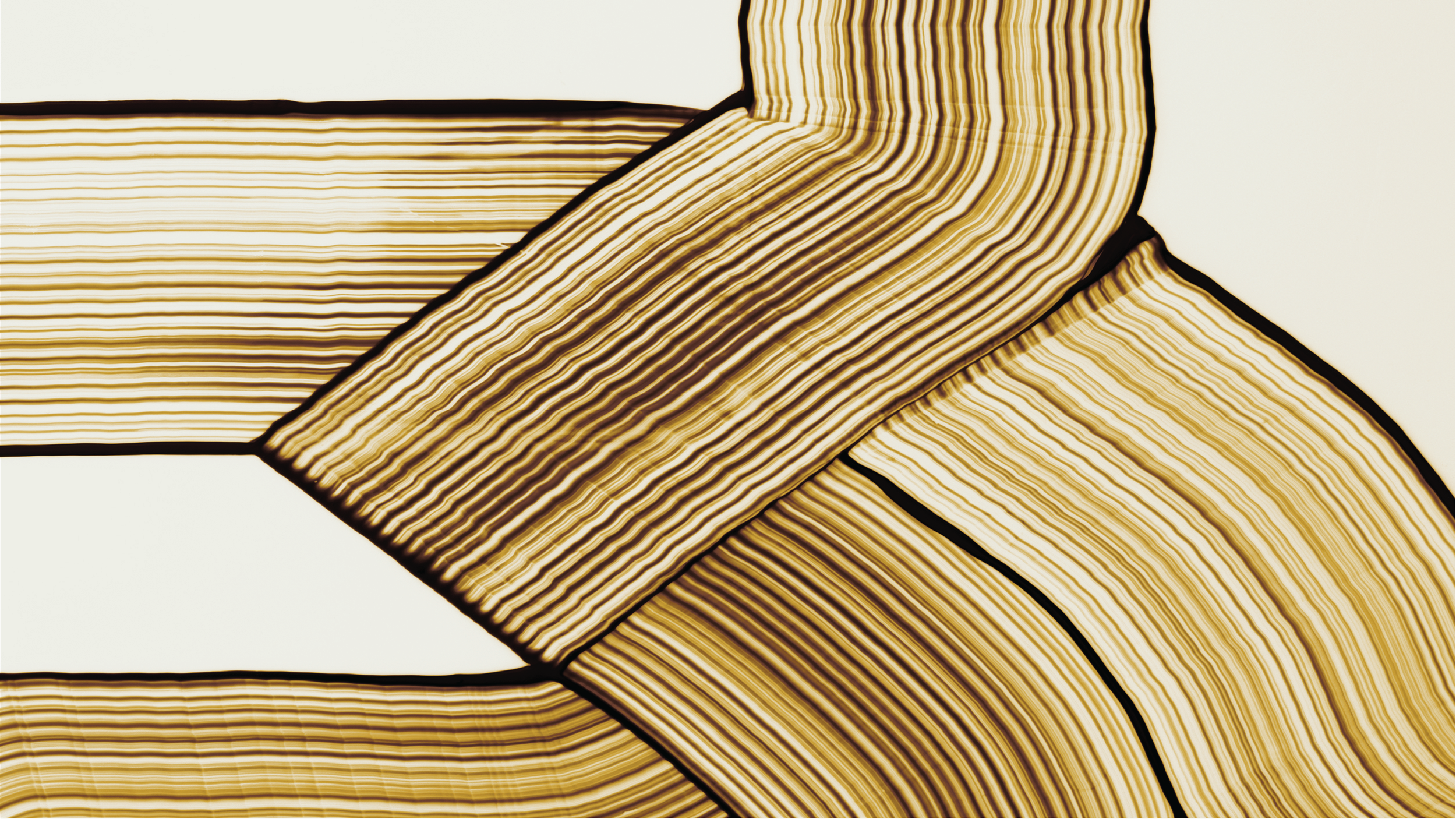 charte graphique freelance