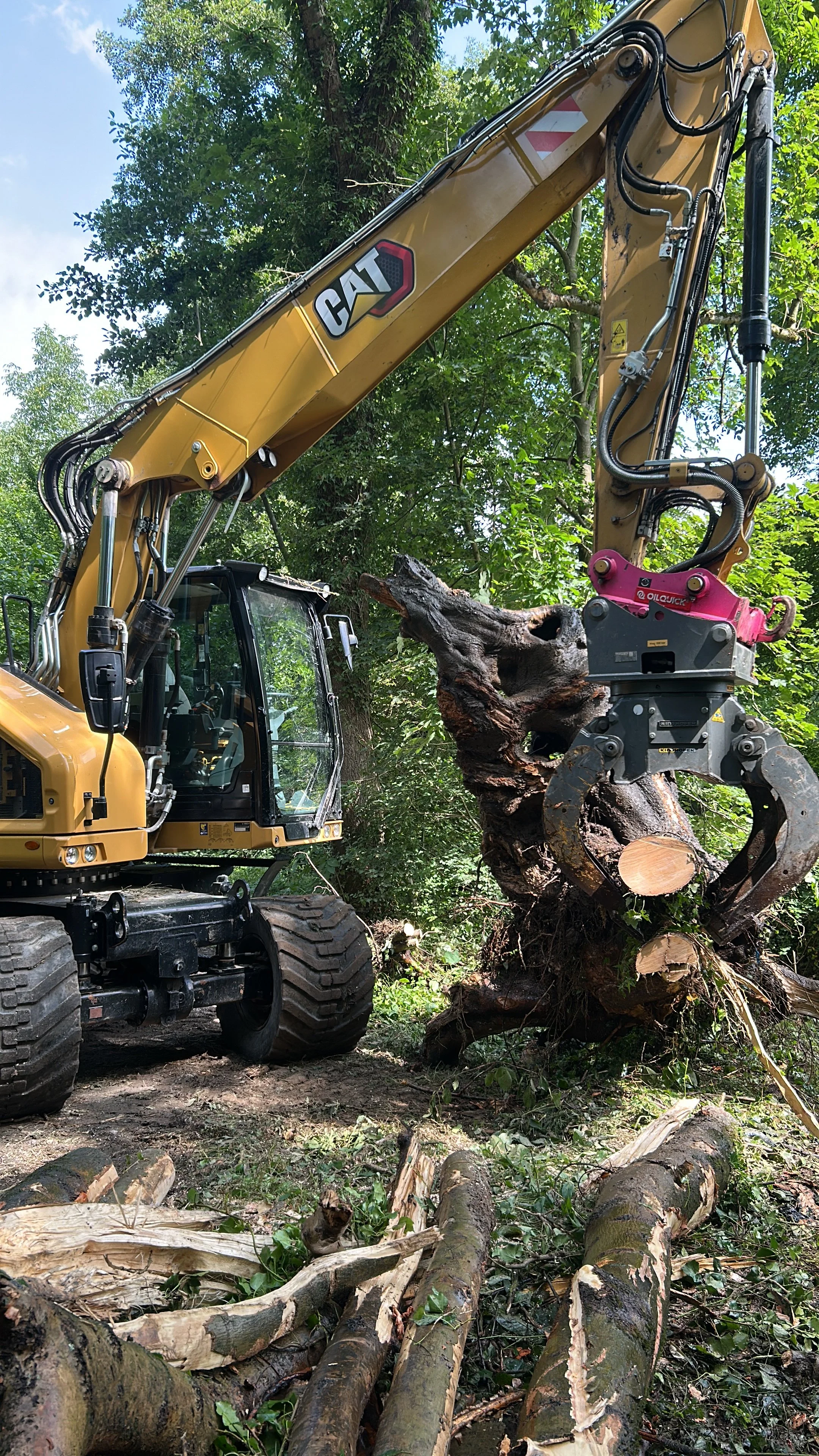 Ein gelber Caterpillar-Bagger hebt einen Baumstamm in einem Wald. Der Baumstamm wird vom Greifer des Baggers gehalten. Es sind weitere gefällte Bäume und Holzreste am Boden sichtbar, umgeben von grünen Blättern und Bäumen.