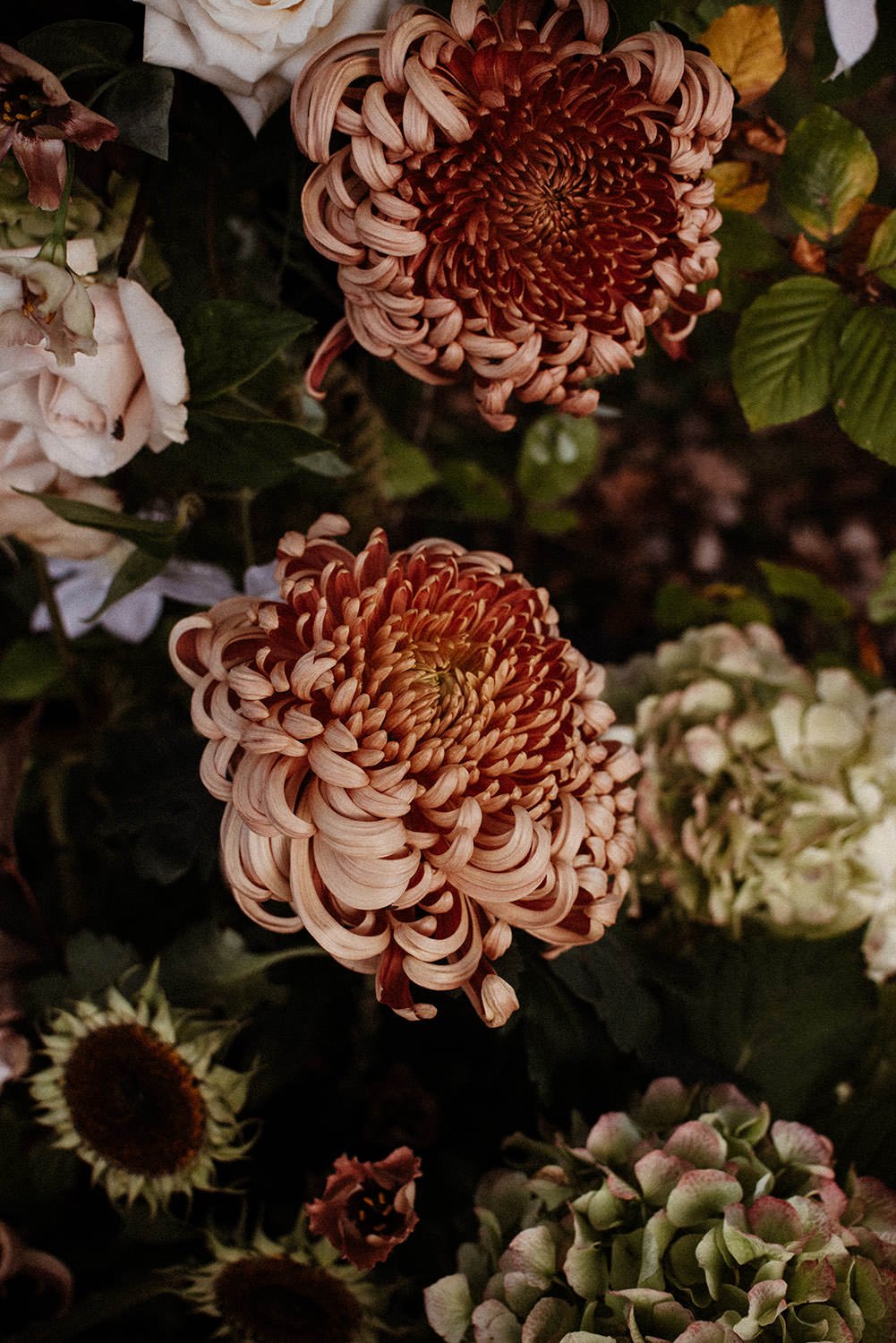 Close-up of two large, curved petal chrysanthemums in shades of orange and reddish-brown among various white and green flowers and leaves.