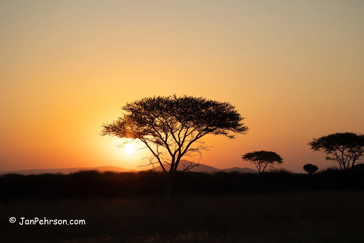 South Africa, Hluhluwe Umfolozi Park. 