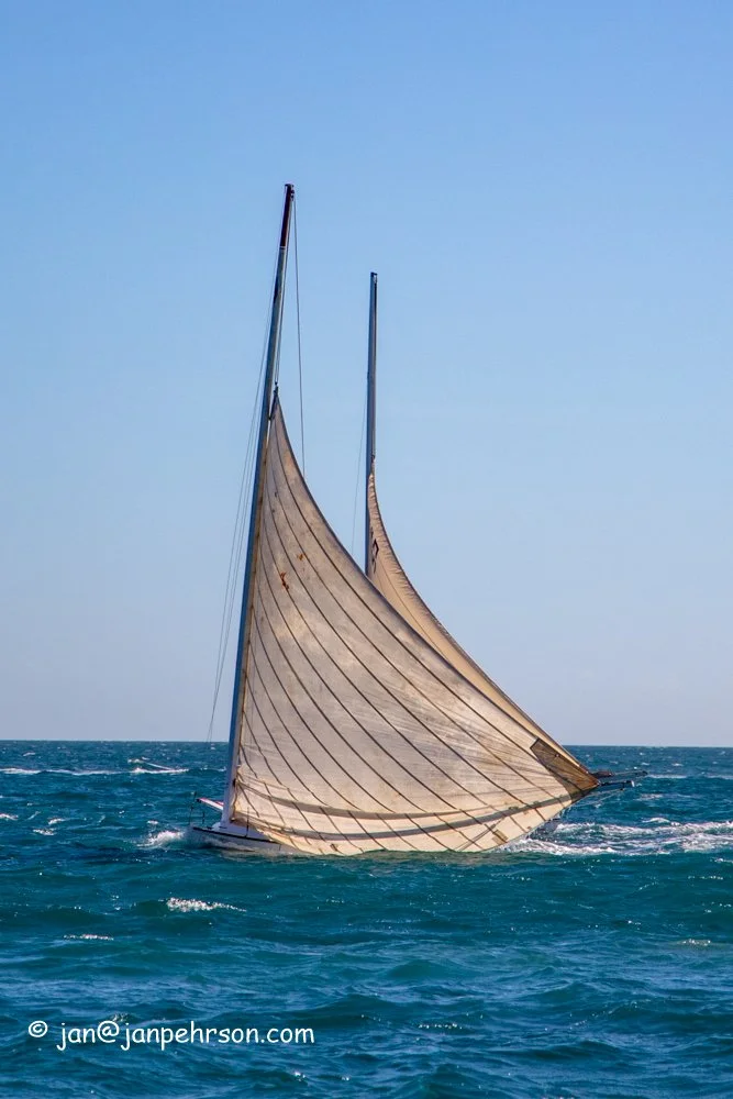 December 2018, Best of the Best Regatta.  