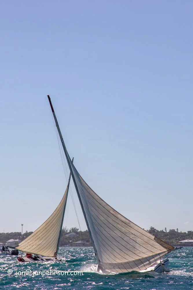 December 2018, Best of the Best Regatta.